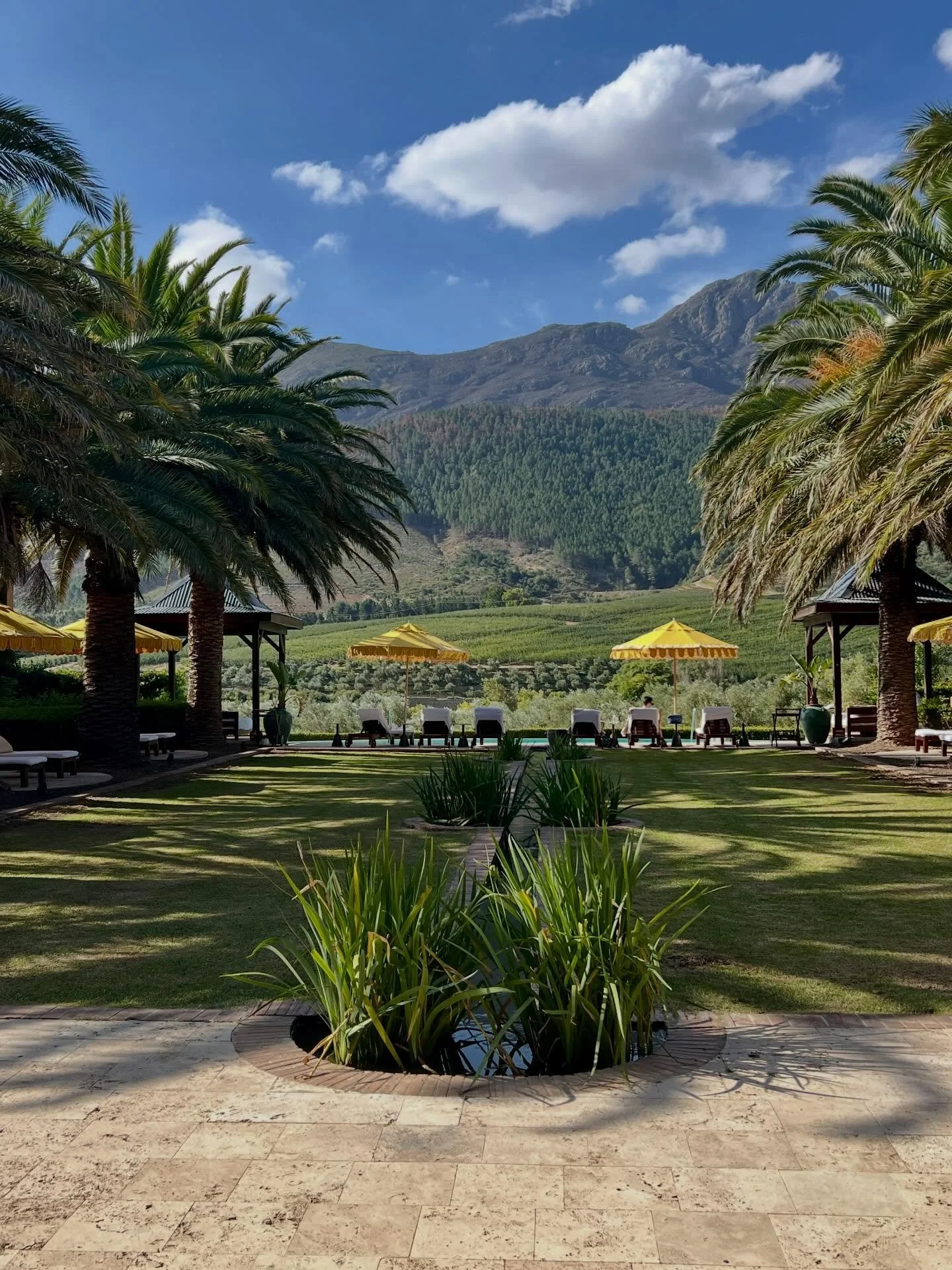 Part 4 on this South African adventure&mdash;the winelands! 
After days on safari watching lions do their thing, we rolled into Franschhoek, a stunning valley in the Cape Winelands. We checked into @laresidencesa and just soaked it all in. It felt le