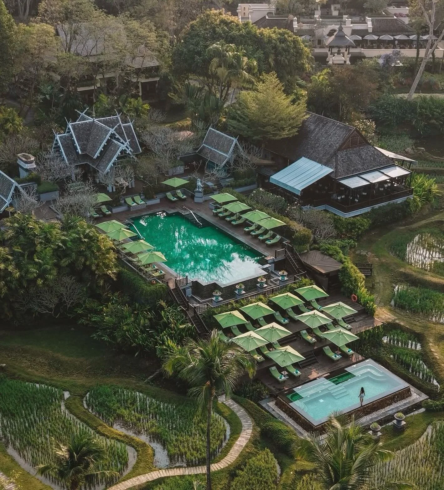 Continuing education looks a little different in the travel industry, and I would not have it any other way! 

In less than two weeks, I am thrilled to be heading to Thailand with EXO Travel for an immersive educational trip, with stays at the Four S