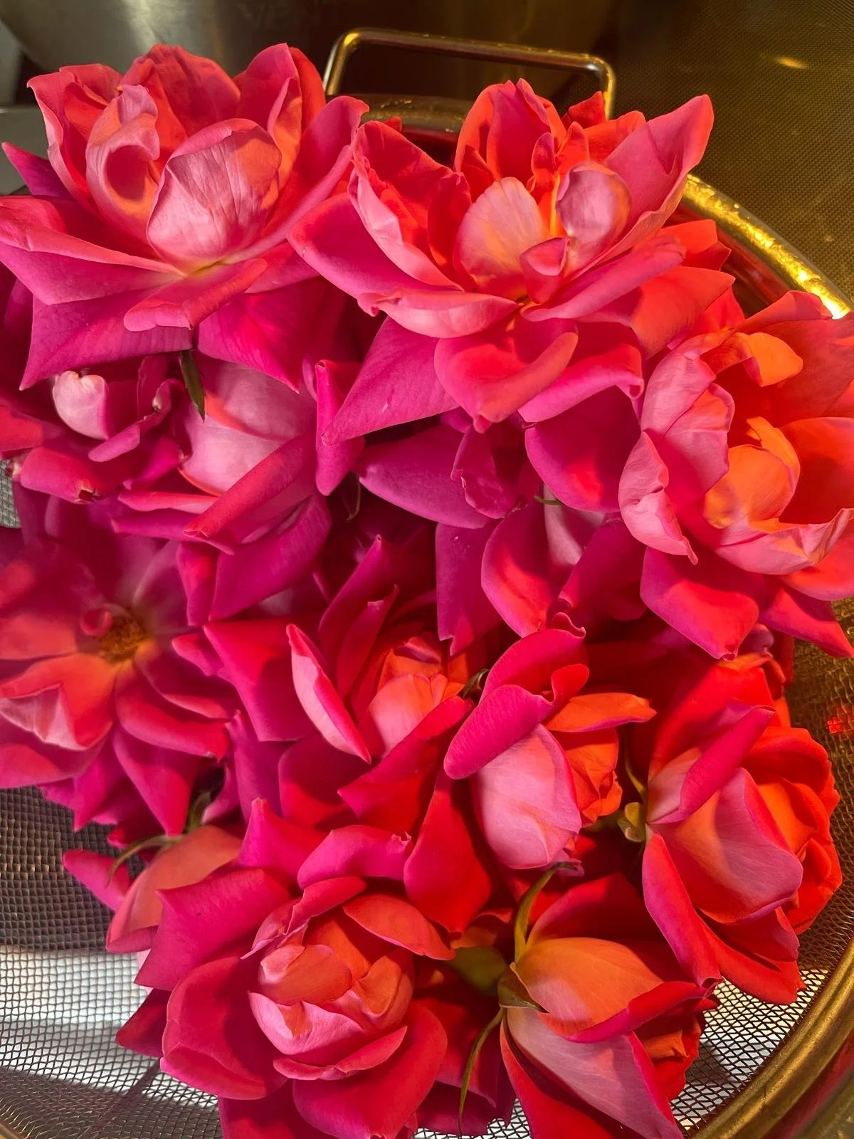 Pink and orange roses placed in a metal basket.