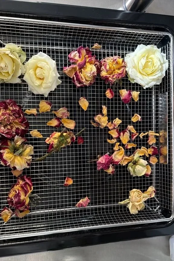 Dried roses and rose petals on a wire drying rack.