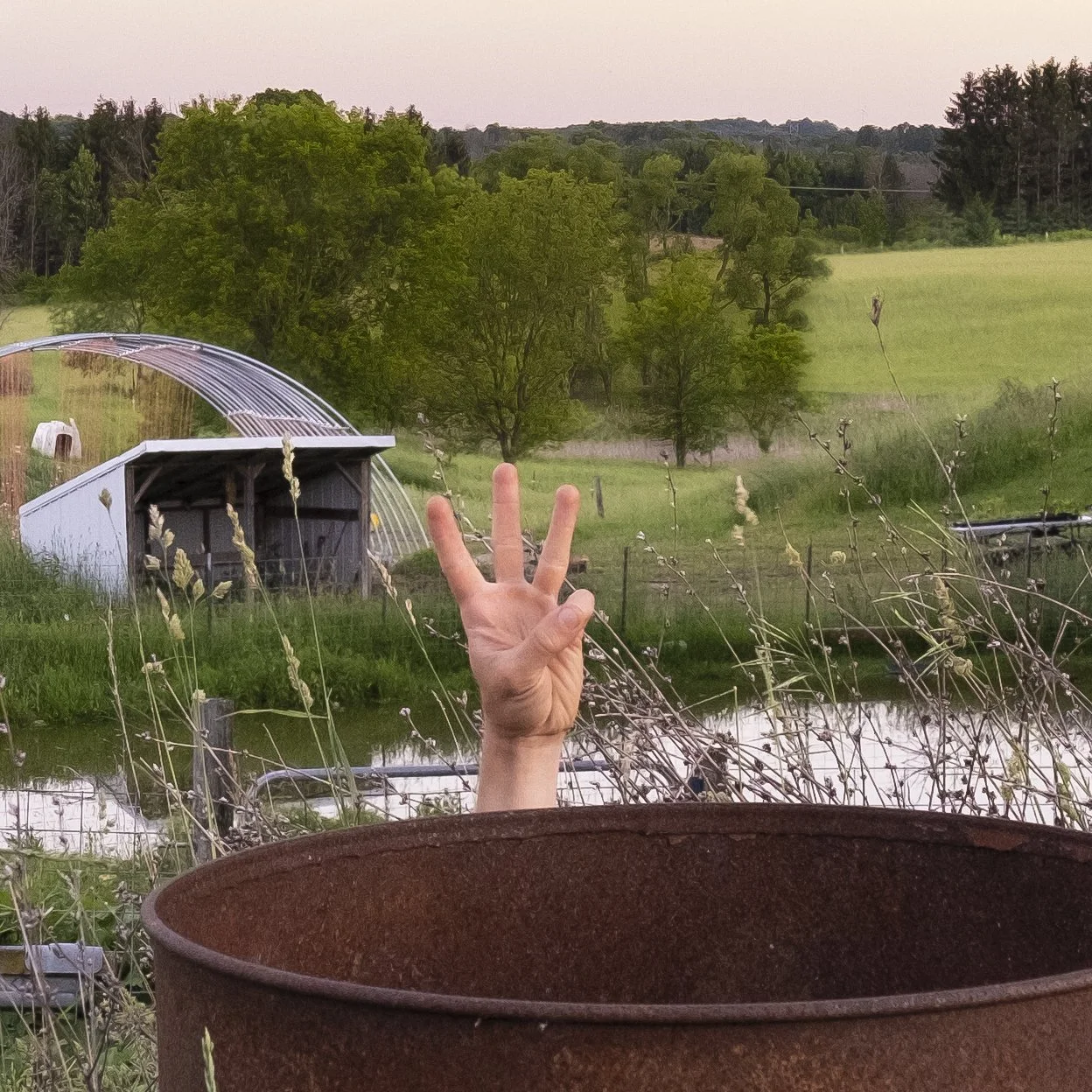 pangea pt. 3 (hibernation)