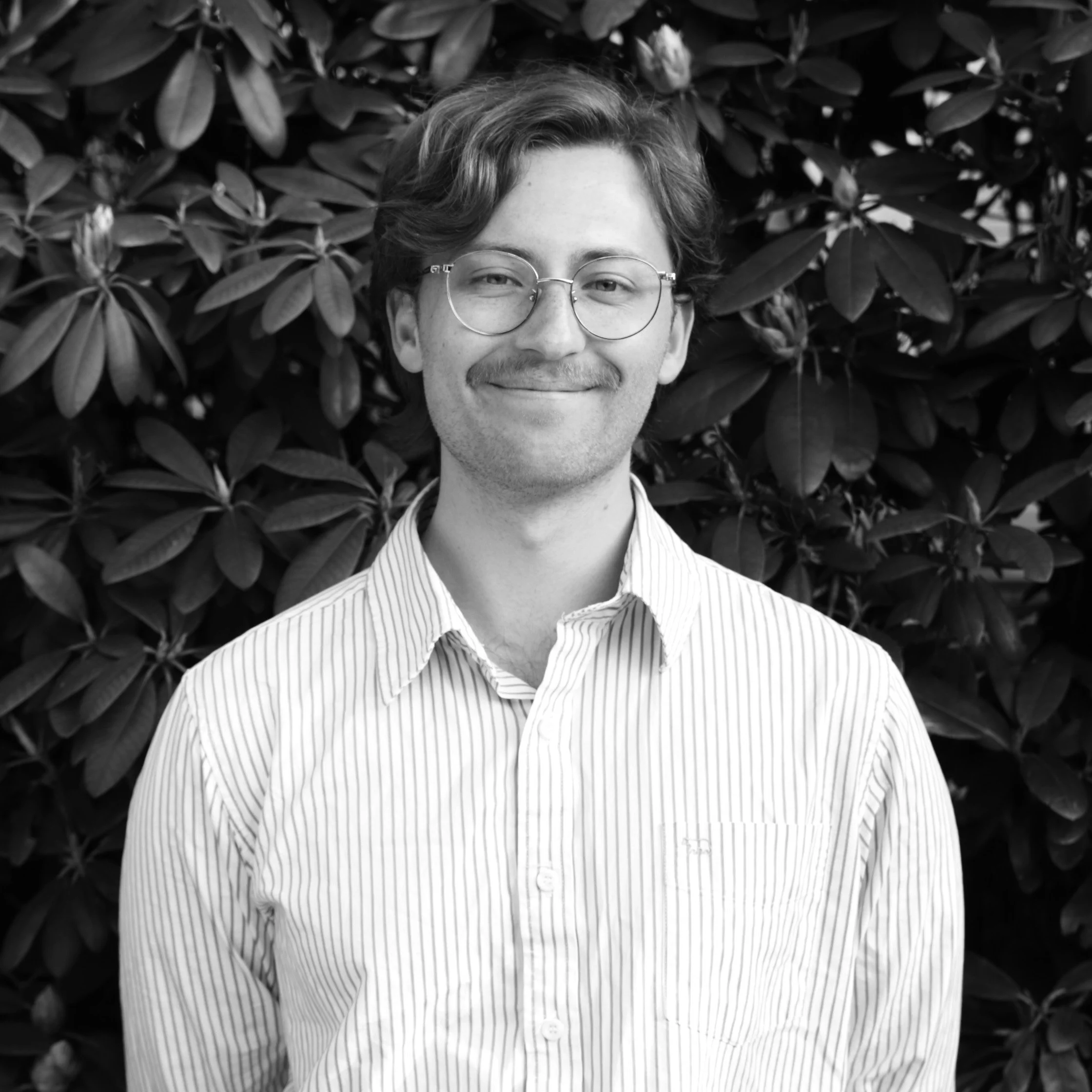 VIGGO ZINGMARK LIEN