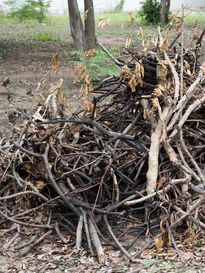 brush removals.jpg