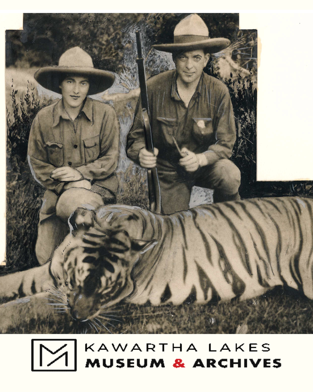 Aleen Hughes and her big cats