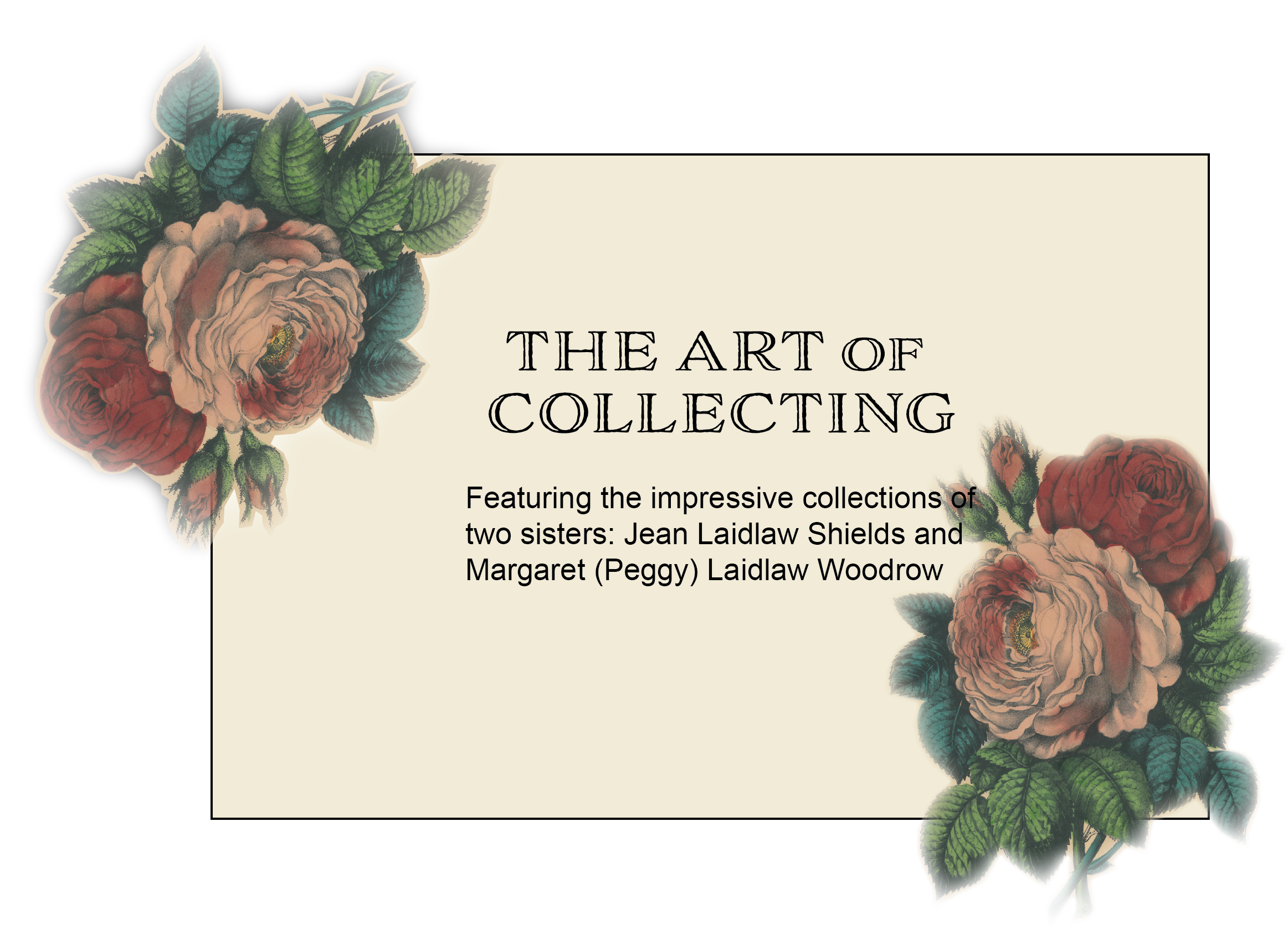 Art of Collecting Website panel.png