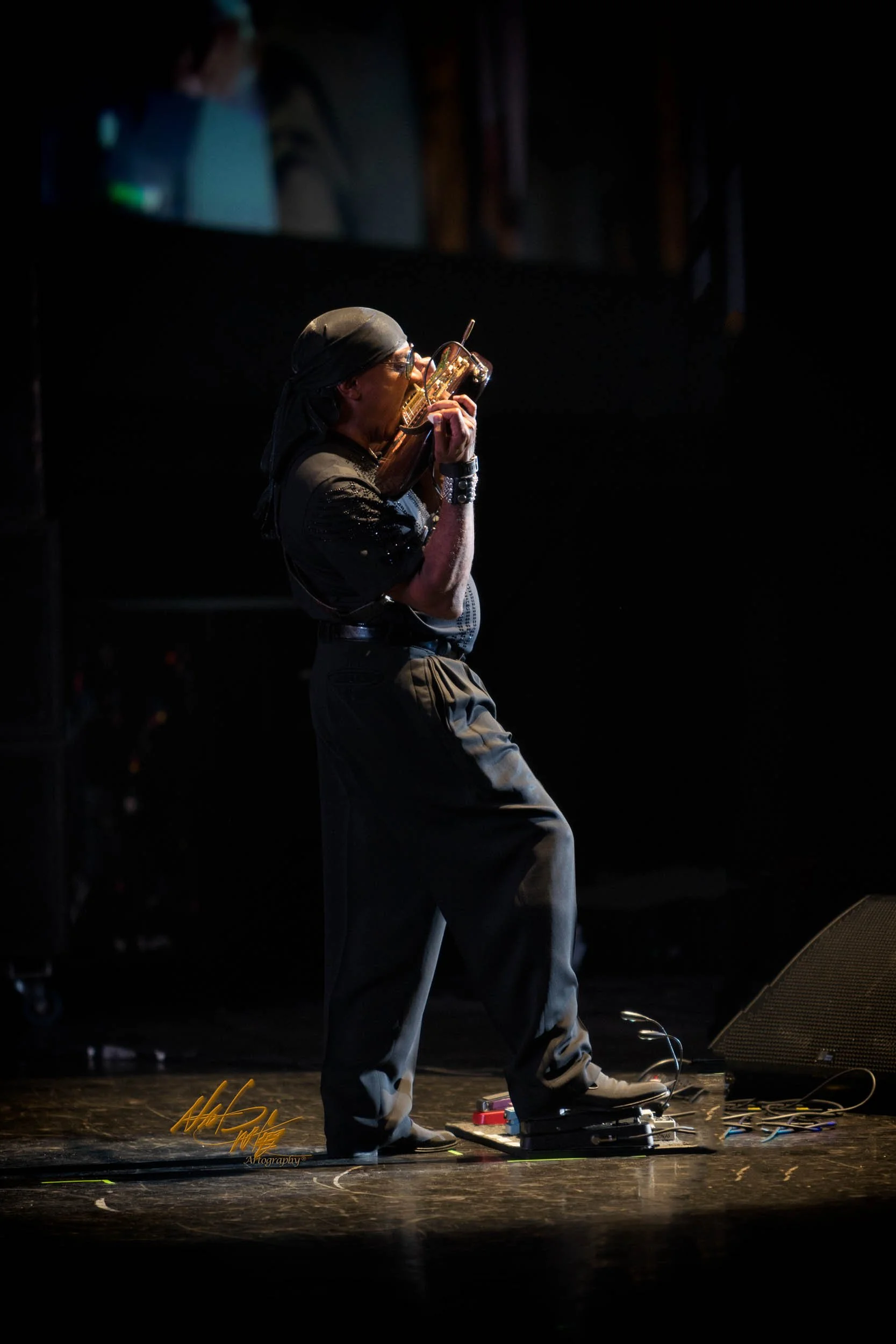 The ISLEY BROTHERS captured by Nat Carter for Nat Carter Artography. Copyright © Nat Carter Nat Carter Artography 2022 All Rights Reserved.