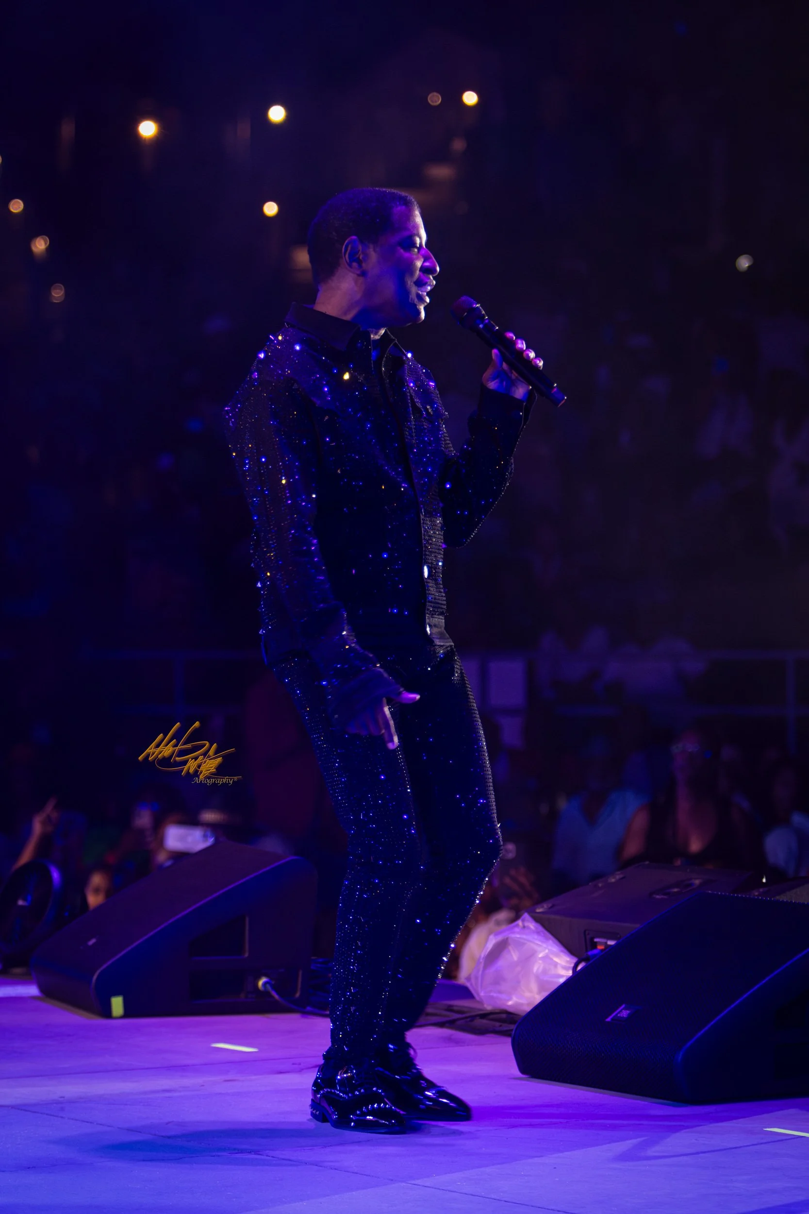 Concert photography featuring Babyface captured by Nat Carter.