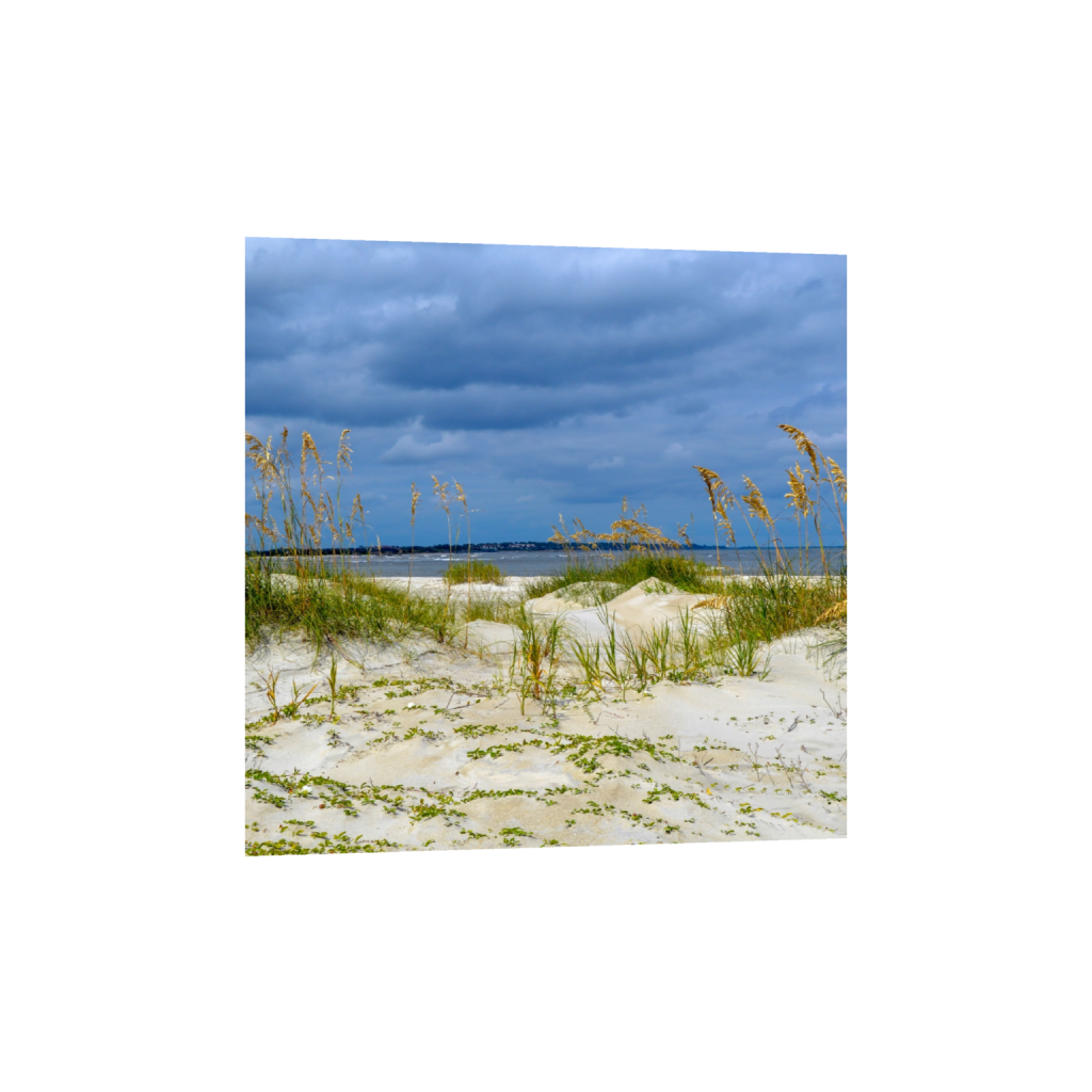 ptq_1_0_1008_0_4000_4000_0_false_ffffff_0_0_.png