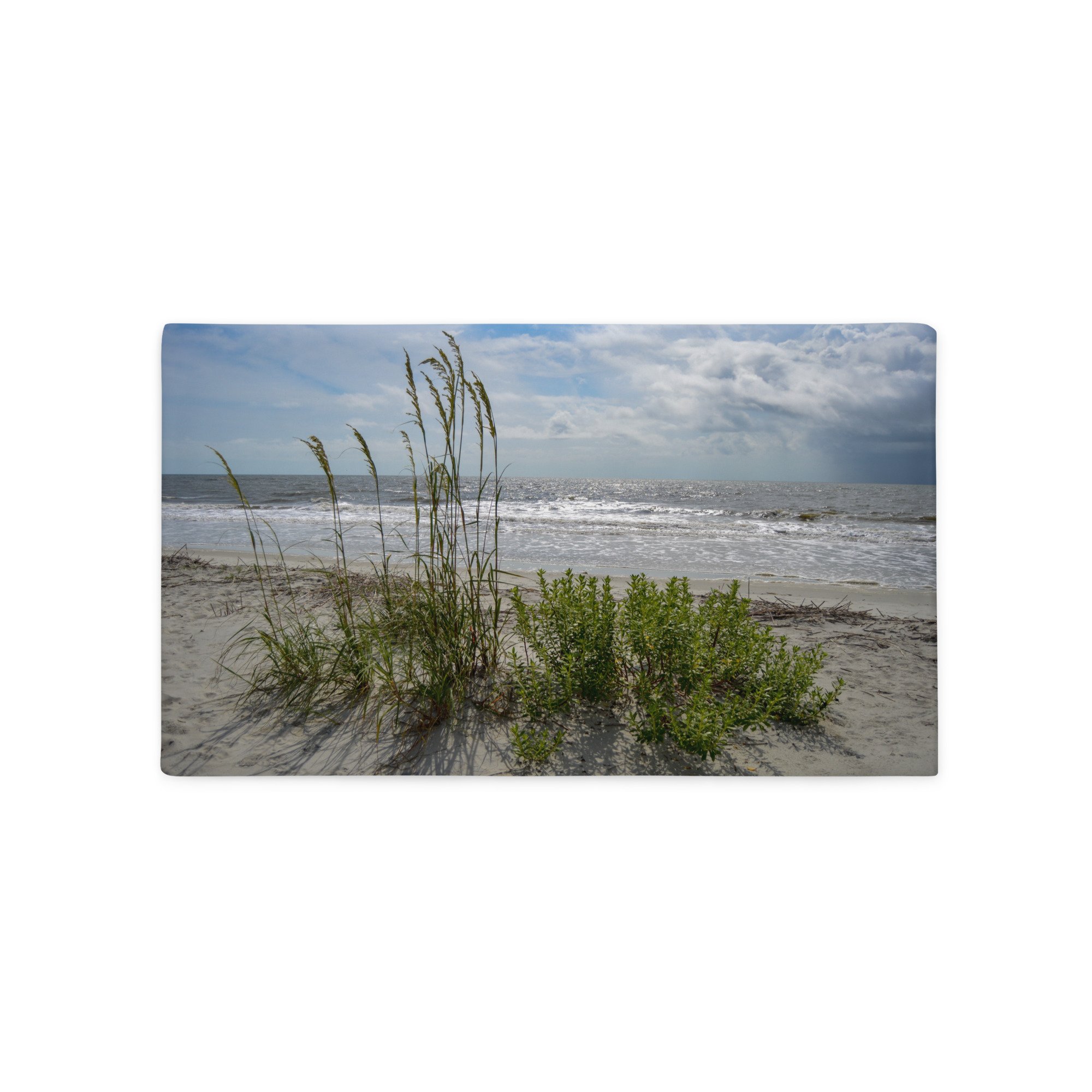 all-over-print-basic-pillow-case-20x12-back-65b809040b7f7.jpg
