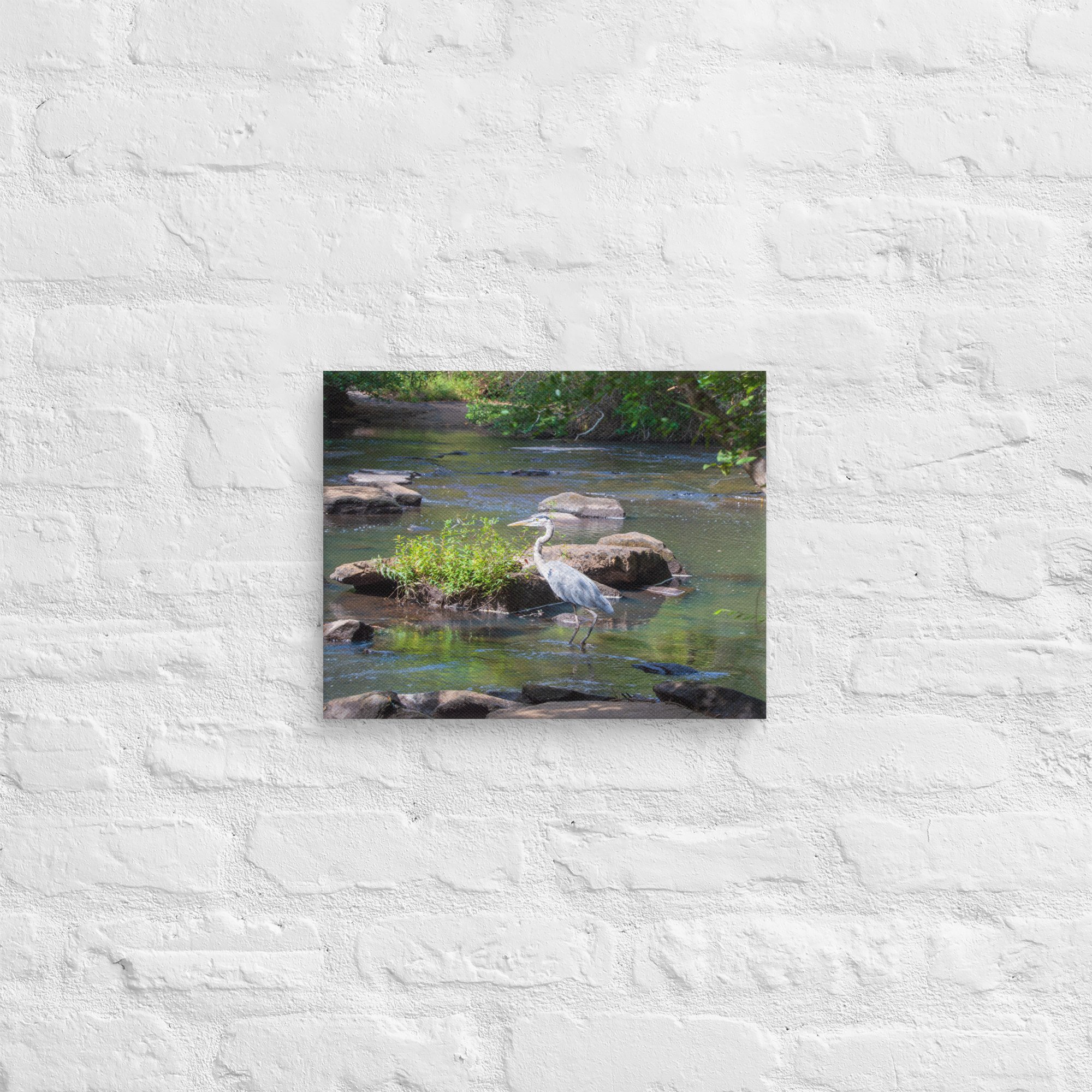 canvas-(in)-11x14-front-6671a90465c66.jpg