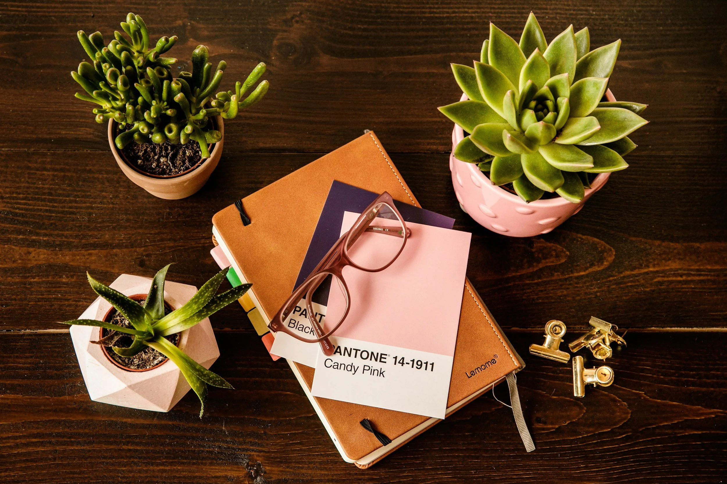 Top-down view of a wooden desk with three potted succulents, a brown leather notebook, a pair of glasses, a Pantone color card labeled 'Candy Pink', and three gold clips.