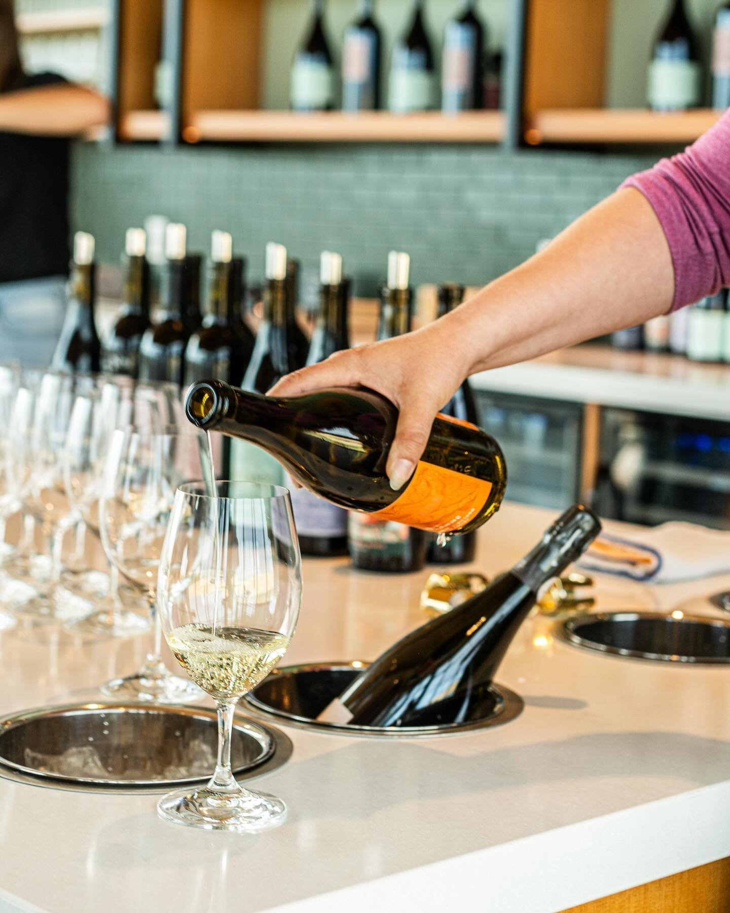 Mondays are fundays at Echolands! Stop by for a tasting or a glass; our tasting room offers stunning views no matter the weather! 🥂✨ #EcholandsWinery