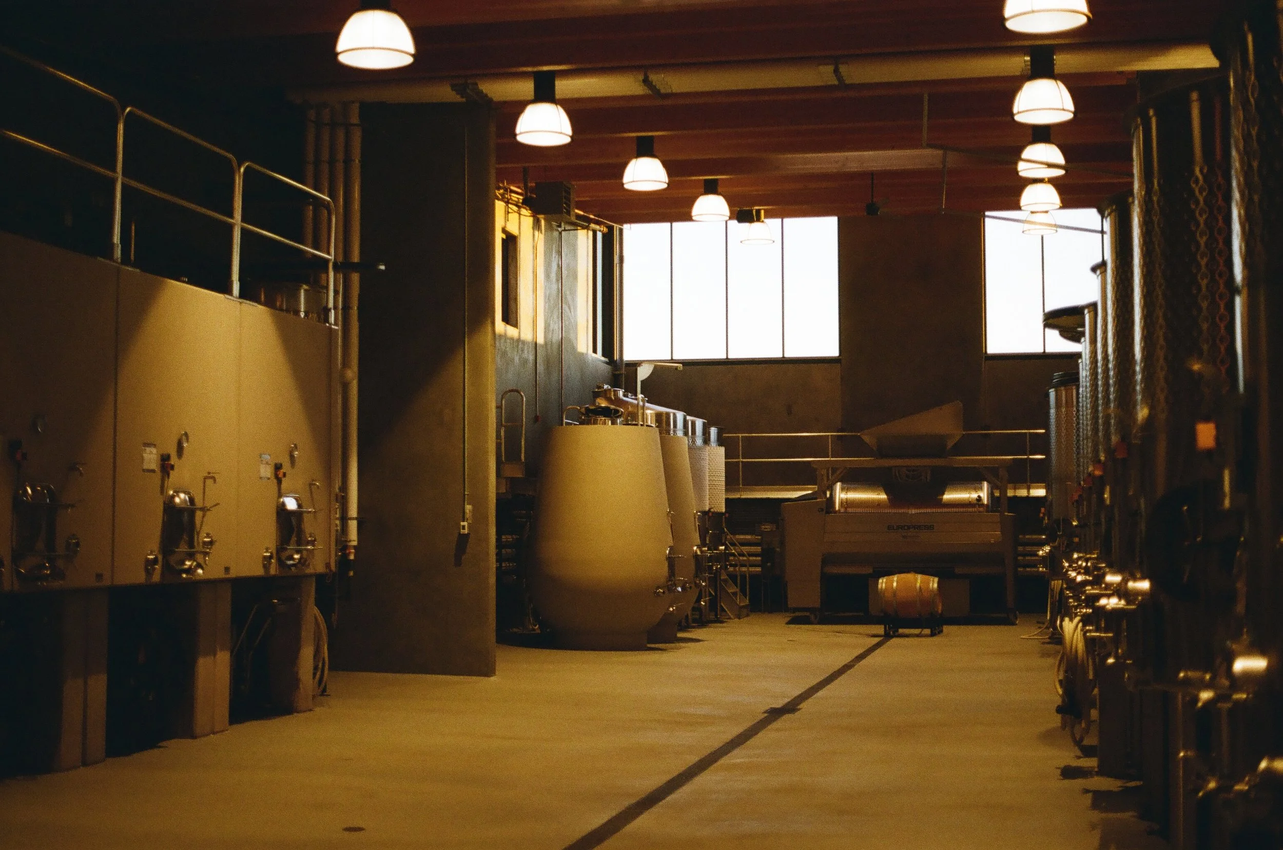 ANNIVERSARY WEEKEND: CELLAR TASTING &amp; TOUR (WINE CLUB ONLY)