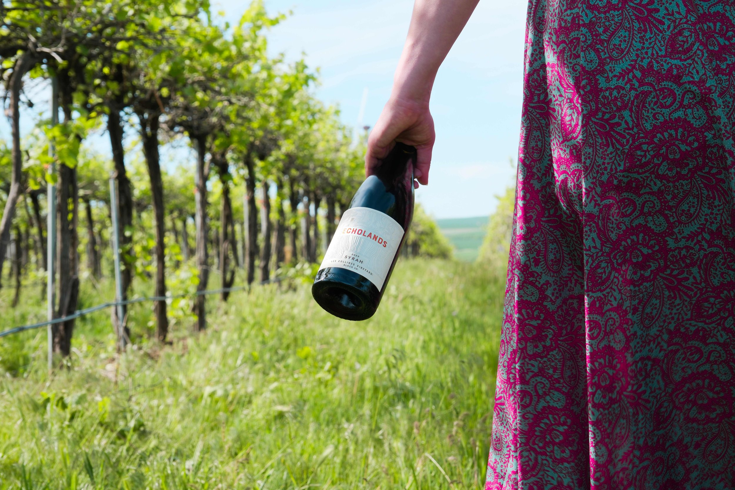 KANSAS CITY WINE CLUB SPRING 2026 PICKUP PARTY