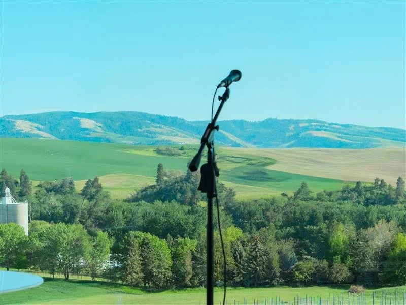 DIEGO ROMERO BAND: FRIDAY NIGHT ENTERTAINMENT SERIES