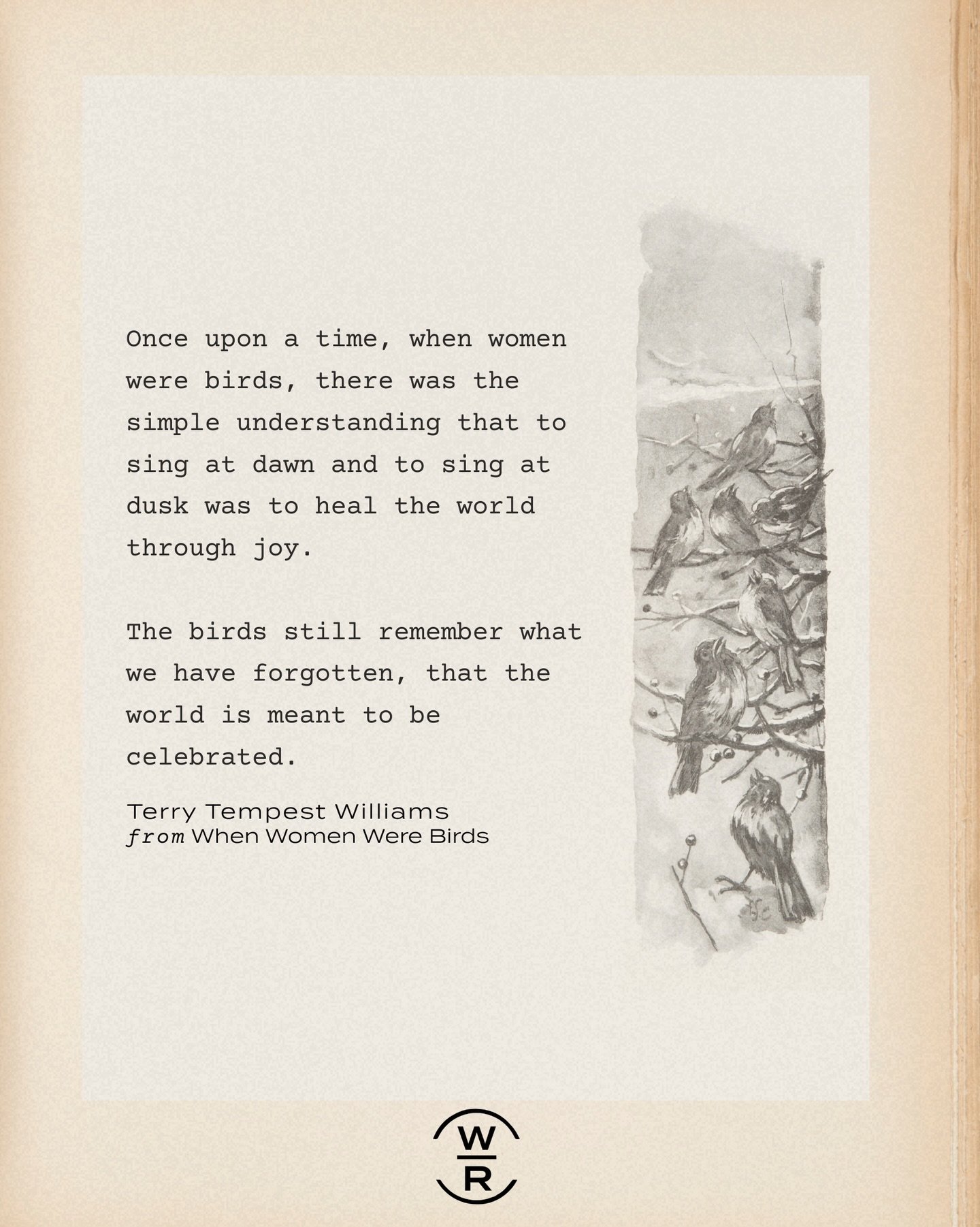 National Bird Day 🪶 Our team gathered this morning for the first meeting of 2026. We found ourselves talking about what animal we might embody in the year ahead. Without planning it, a few of us landed on the same answer: birds.

Maybe it&rsquo;s th