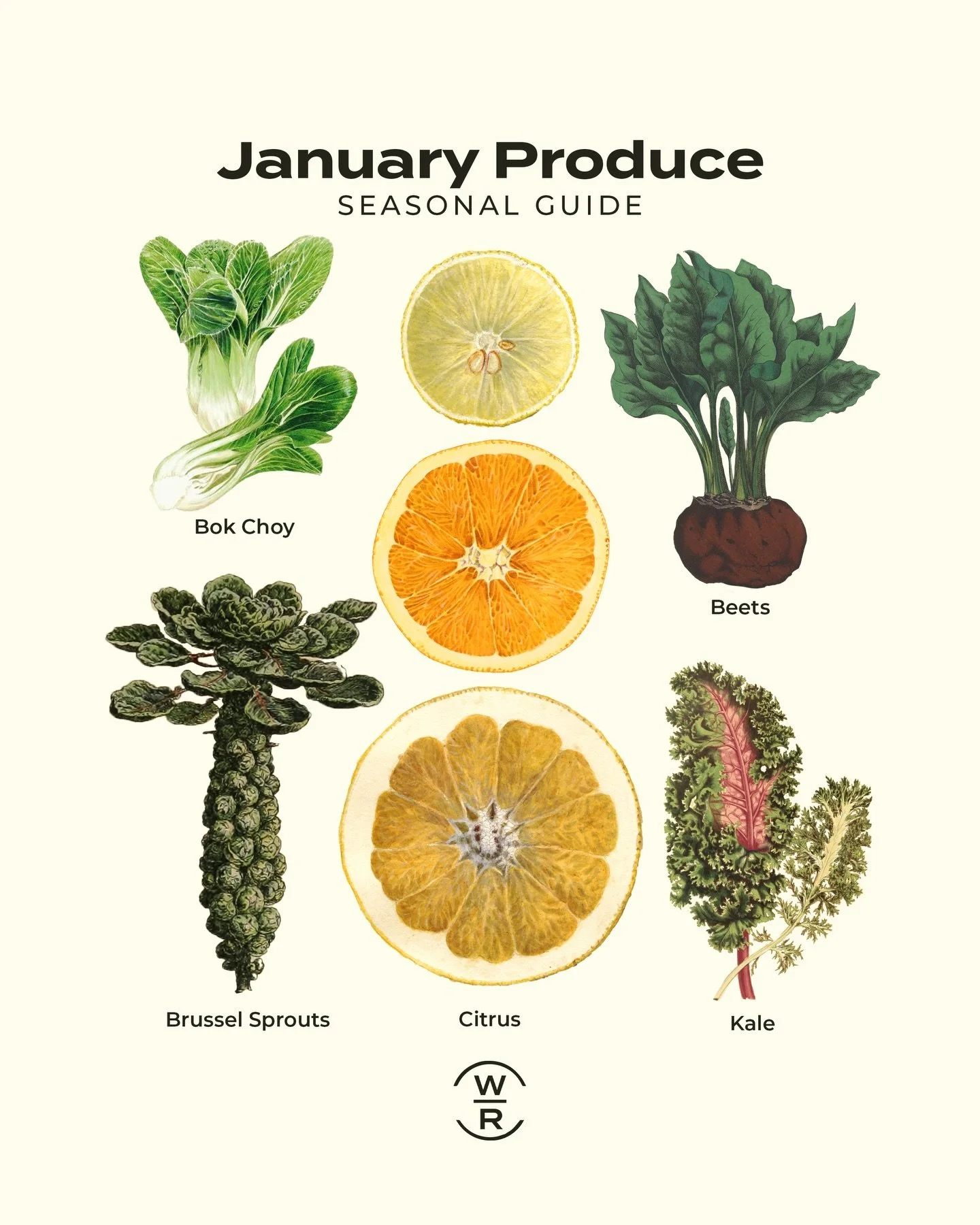 ⭐️ What&rsquo;s in Season in January ⭐️ 

Welcome in the new year with a hearty stew! Potatoes, onions, carrots, and leafy greens are all in season.

Fruits: citrus, persimmons, kiwis, apples, pears

Veggies: leafy greens (kale, cabbage, collards, bo