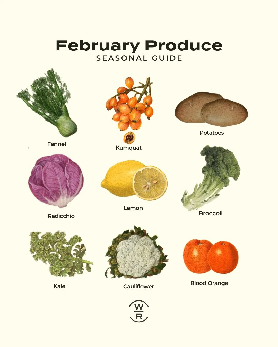 ⭐️ What's in Season in February ⭐️

Cozy up with roasted root vegetables, vibrant citrus, and hearty greens.

Fruits: citrus (blood oranges, kumquats, lemons), apples, pears

Veggies: hearty greens (kale, radicchio), cruciferous veggies (broccoli, ca