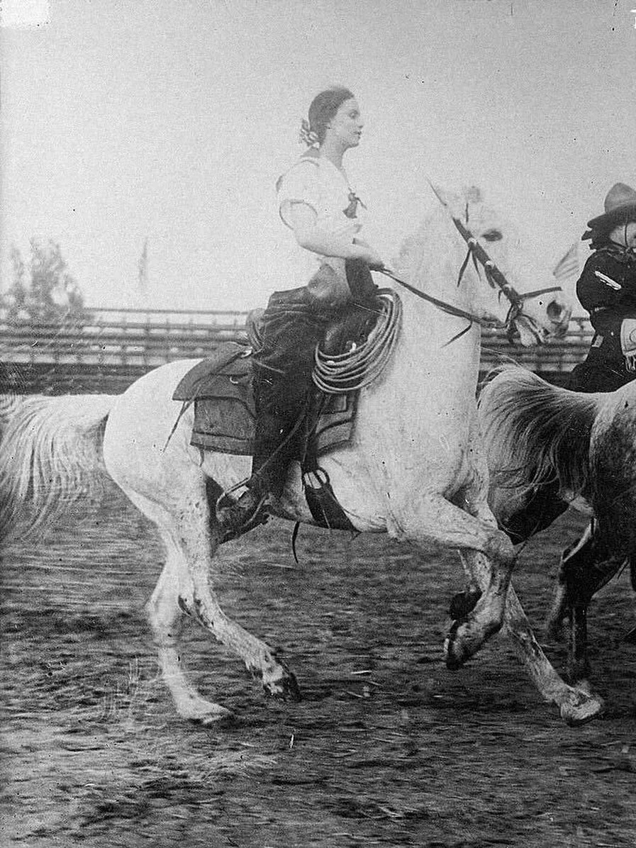 From the Archives 🎞️

A Rodeo Rider, c1910-1915
Published by Bain News Service; Library of Congress
