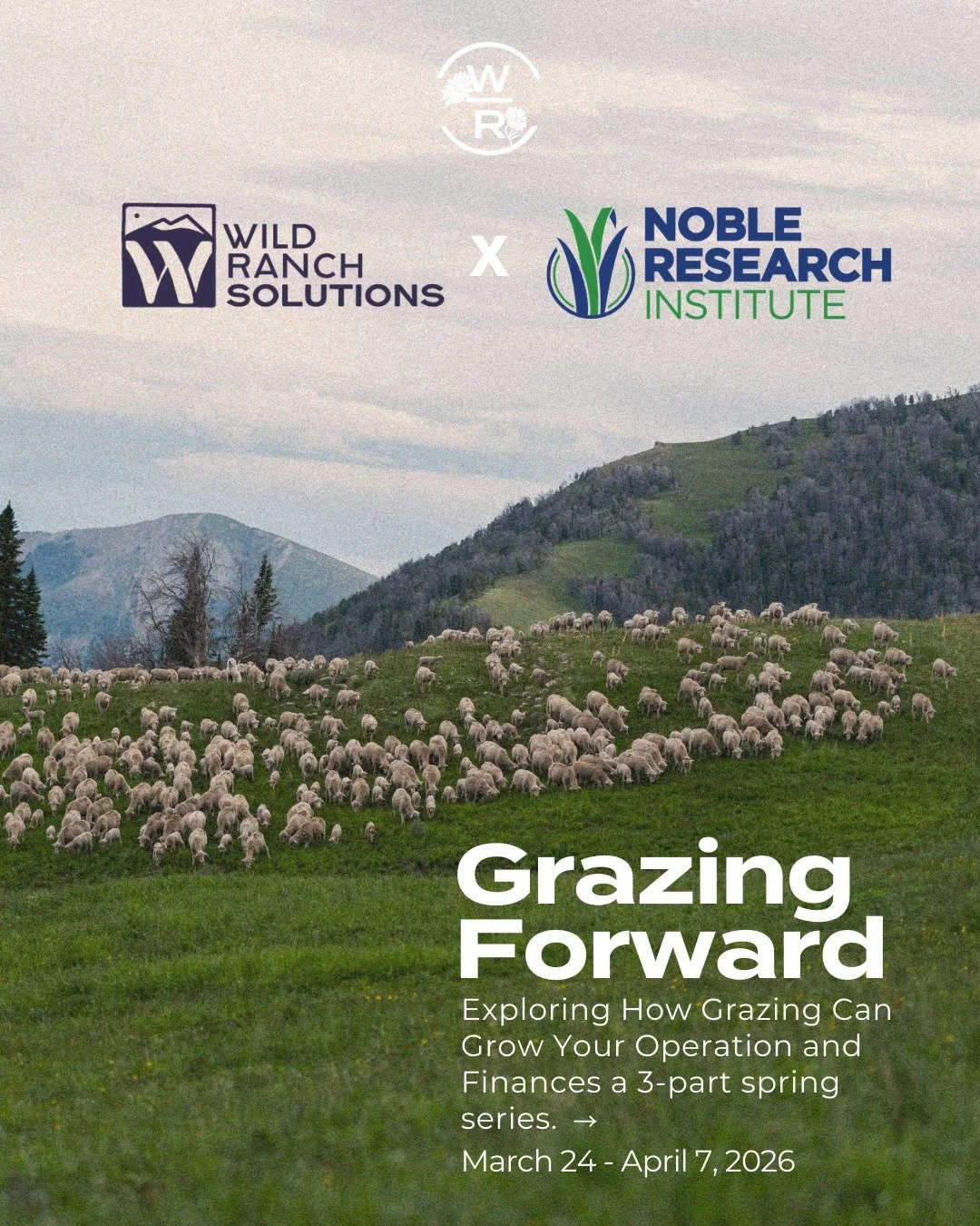Grazing Forward: Our Spring Virtual Ranch Management Series is here! 🌱

We're partnering with Noble Research Institute and Wild Ranch Solutions for a three-part series exploring how grazing can grow your operation and your finances.

Join us for: ✨ 