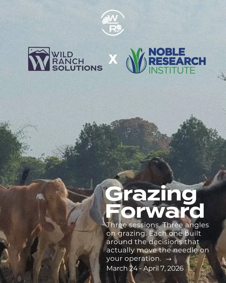 Three sessions. Three angles on grazing. Each one built around the decisions that actually move the needle on your operation. 

March 24 &bull; March 31 &bull; April 7 | 12&ndash;1:30pm MST

Swipe to see the details including each session, what&rsquo