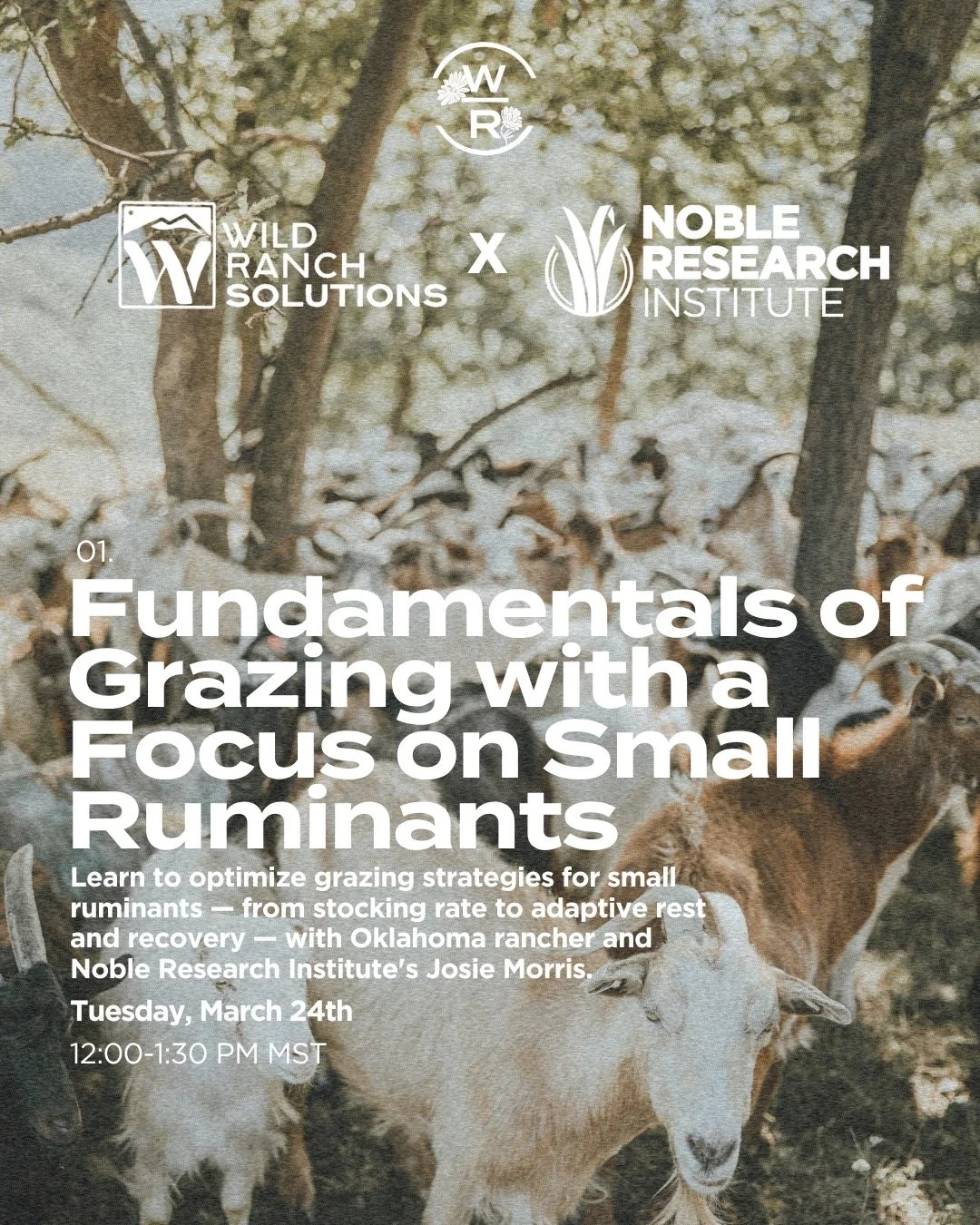 Session 1 starts tomorrow! 🌱 Josie Morris of Noble Research Institute is joining us to break down grazing fundamentals for small ruminant producers &mdash; covering adaptive grazing strategies, pasture rest and recovery, and key terms like carrying 