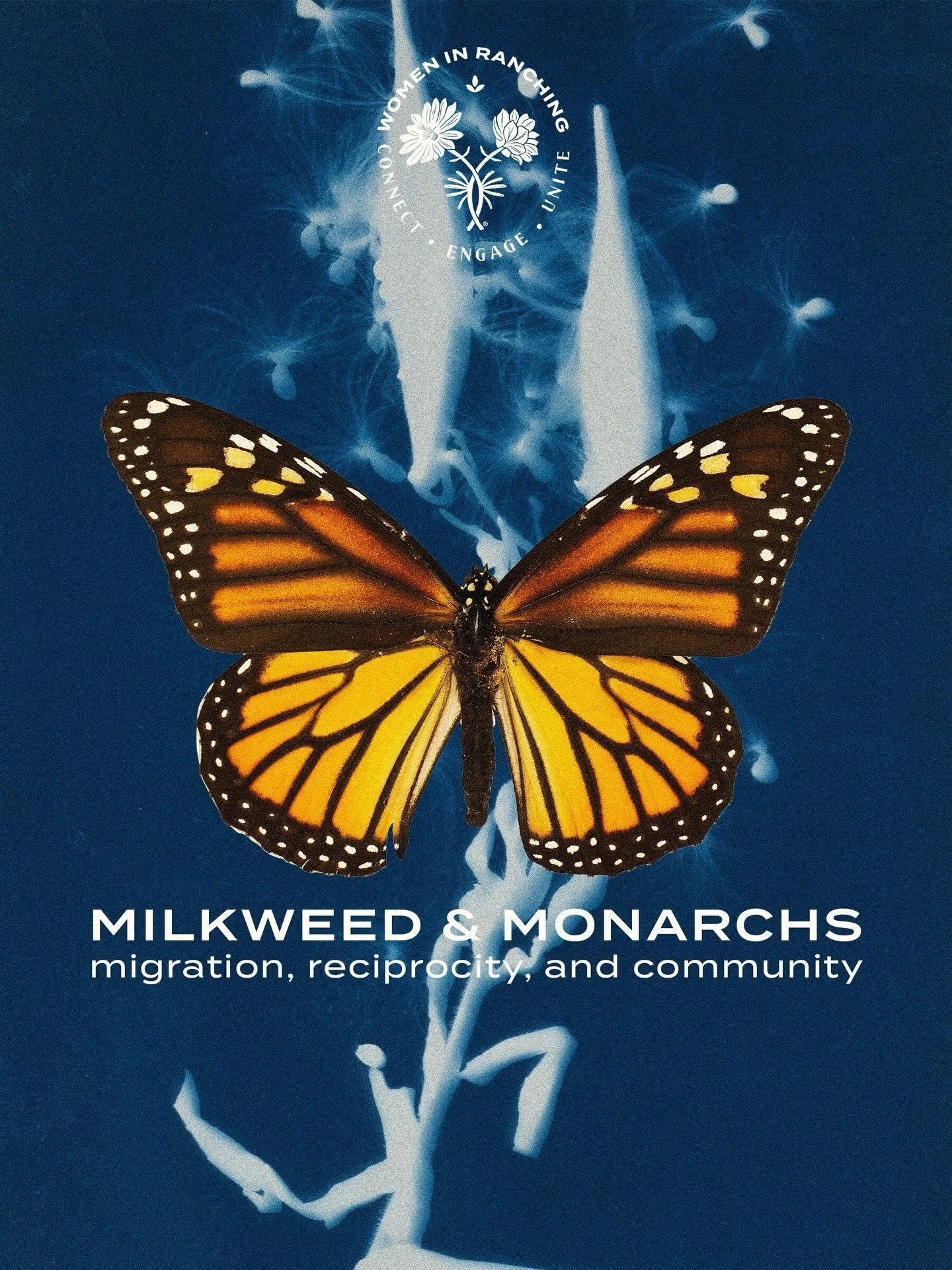 Monarch butterflies are on the move.

Every spring, they begin the journey north from central Mexico, traveling up to 3,000 miles across generations.

Milkweed is the only plant monarchs will lay their eggs on. The only food their caterpillars can ea