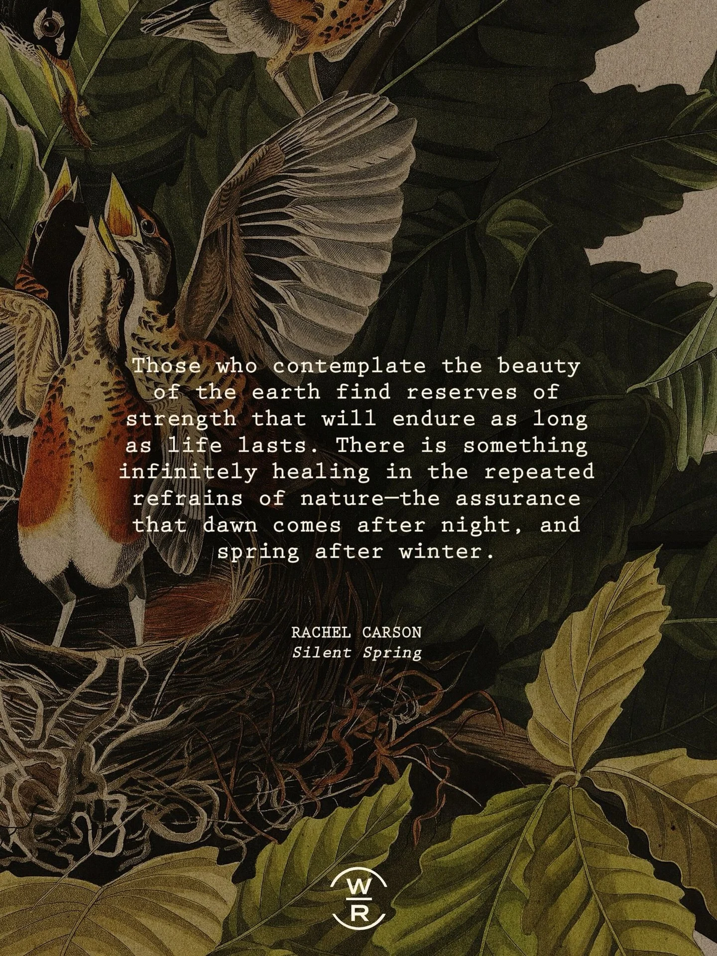 The world is waking up again&mdash;Robins sing their dawn chorus, the Birch and Aspen bud out, every rainy morning weaves the soil with worms. Each day grows longer, verdurous.

The world is waking up again, and we get to bear witness to the arrival.