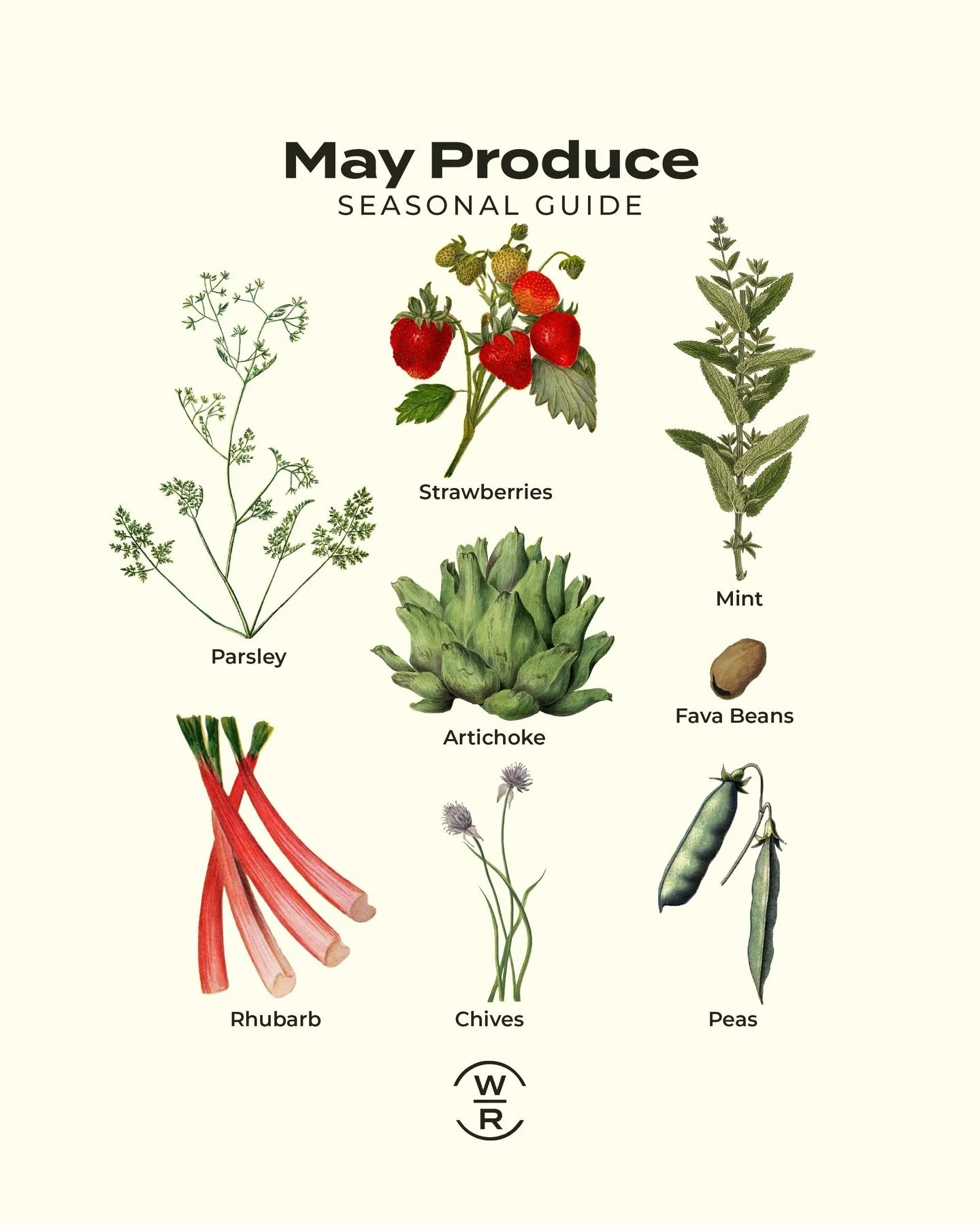 ⭐️ What&rsquo;s in Season in May ⭐️

Spring is in full swing, longer days bring sweeter flavors and the freshest of the year.
Fruits: strawberries, berries, and rhubarb

Veggies: asparagus, peas, artichokes, spring onions

Seasonal star: 🍓 strawberr