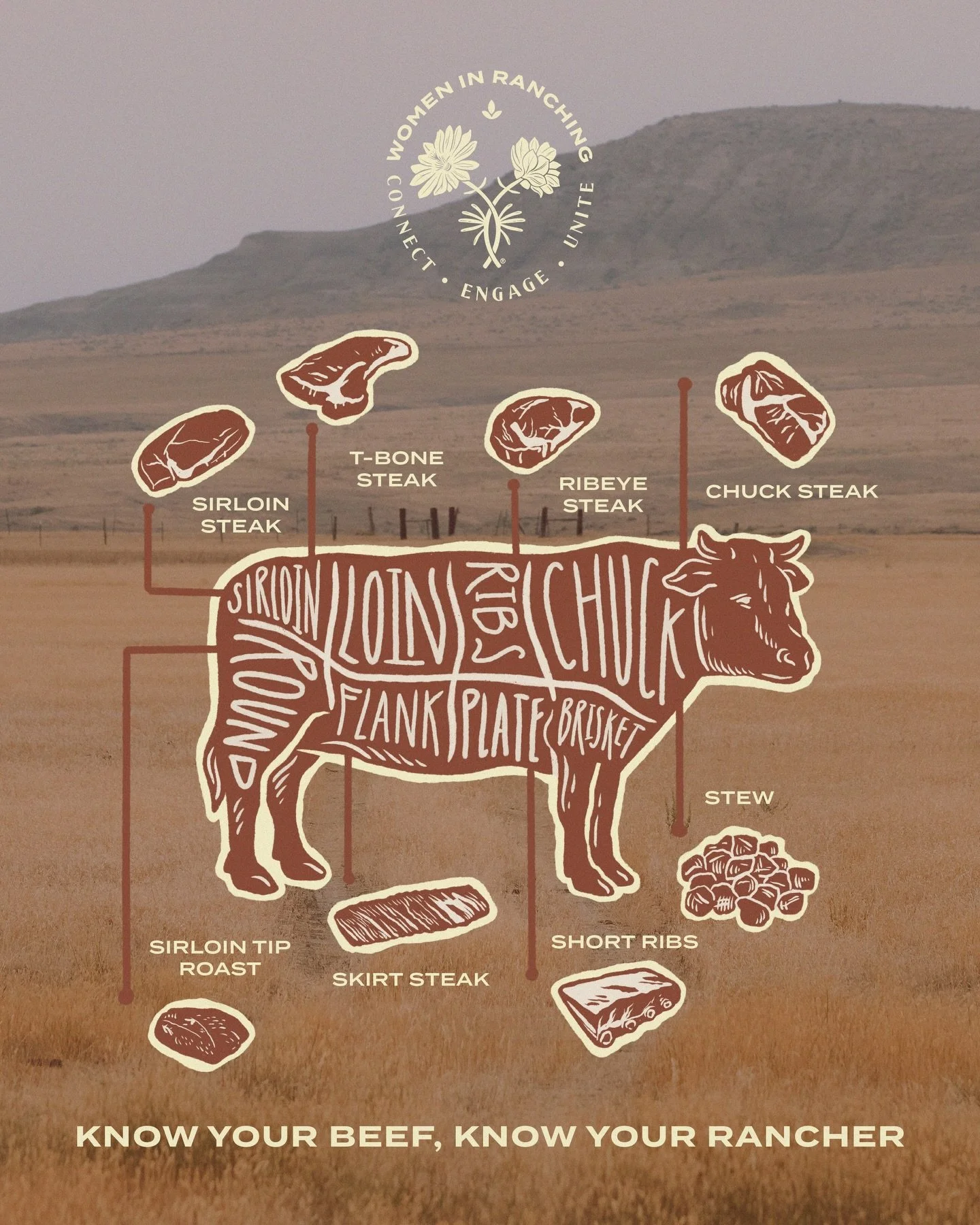 May is National Beef Month.

From the pasture to the plate, women are managing every stage of beef production in this country. They&rsquo;re running operations, earning degrees and certifications, building community, and selling direct. They&rsquo;re