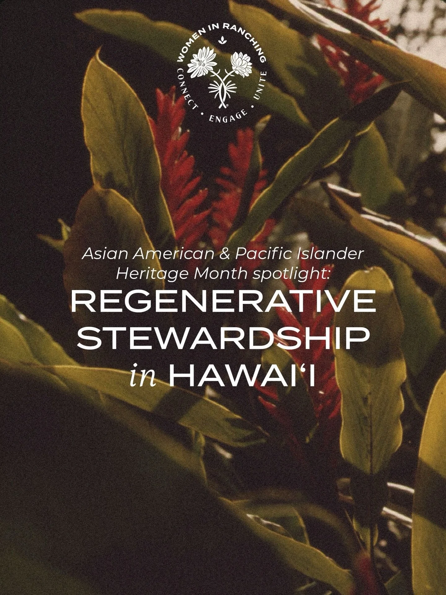 For AAPI Heritage Month, we wanted to honor the land stewards of Hawaiʻi. Stewardship is vast &mdash; it looks different across every landscape, culture, and community. It&rsquo;s taro farmers working with ancestral wetlands, communities reviving tra