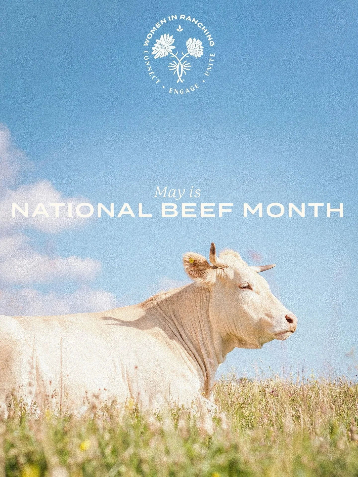 To some its just a cow. To a rancher, it&rsquo;s a whole story &mdash; breed, bloodline, and season written across every hide. Coat color is genetics made visible, and nobody reads it better than the women who work with them every day.🐂
