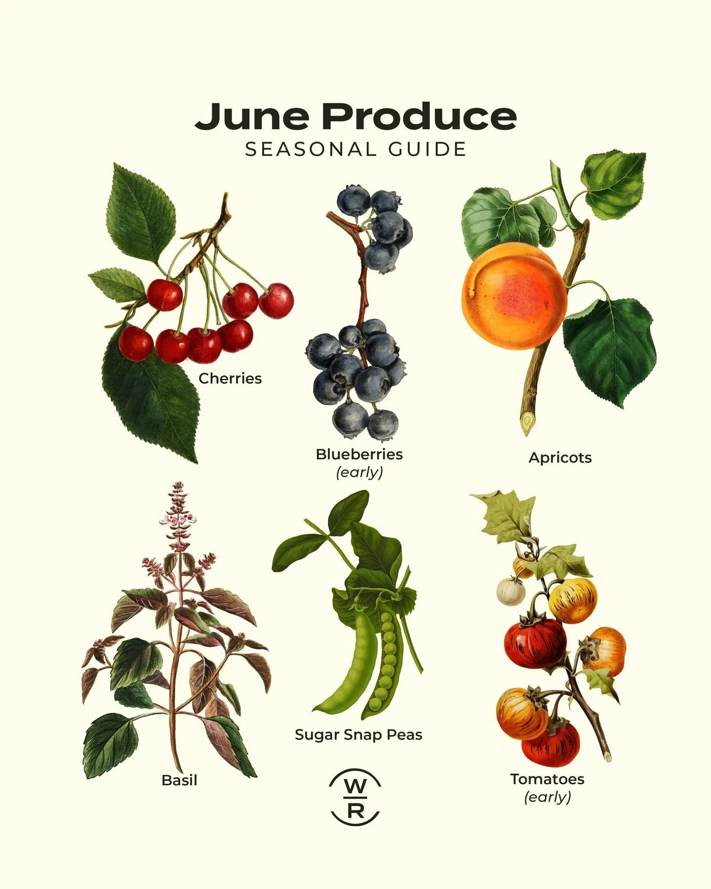 ⭐️ What&rsquo;s in Season June ⭐️

From orchard rows to sun-drenched tomato vines, June&rsquo;s harvest brings bold flavor and juicy color to the table.

Fruits: Sweet cherries (Benton, Bing, Rainier &amp; more!), apricots, early blueberries

Veggies