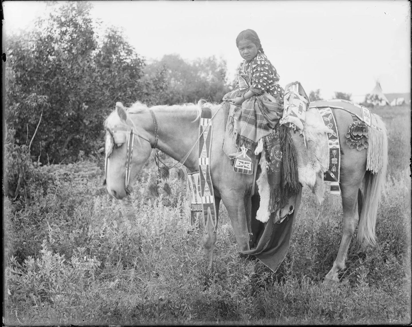 From the Archives 🎞️

Little Iron Horse 

Location: Wyoming 
Archive: American Heritage Center, University of Wyoming