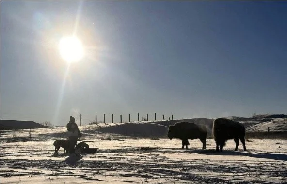 Latrice with her buffalo.jpg