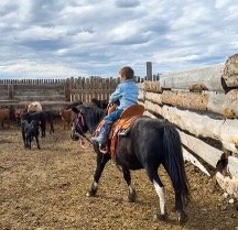 Lea_s grandson horseback.jpg