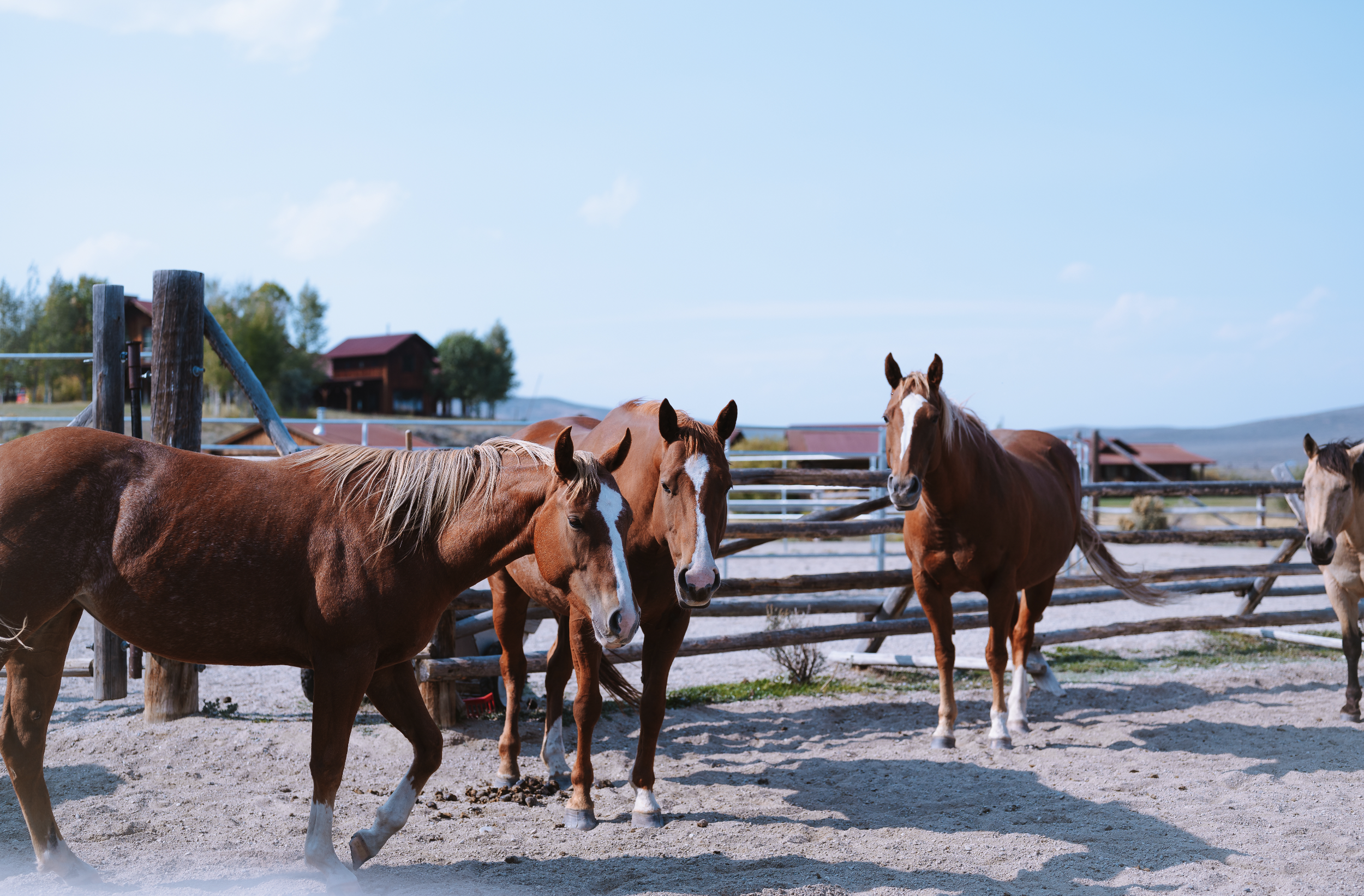 Screenshot 2025-11-16 at 5.33.40 PM.png