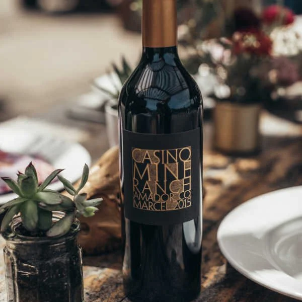 A bottle of red wine on a table, next to a potted succulent plant and a white plate.
