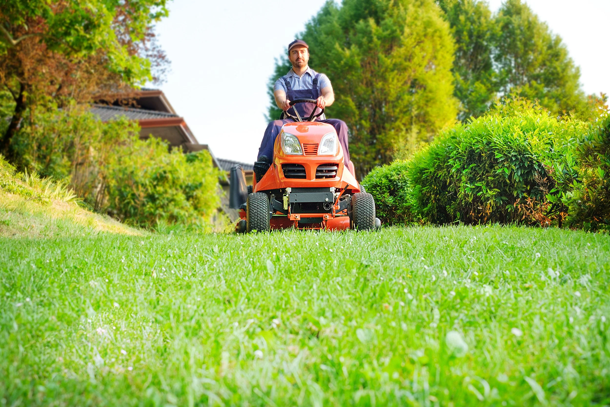 5 Trends Landscaping Contractors Can Help You Achieve