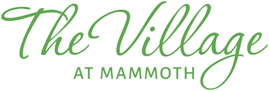 the village - logo.png