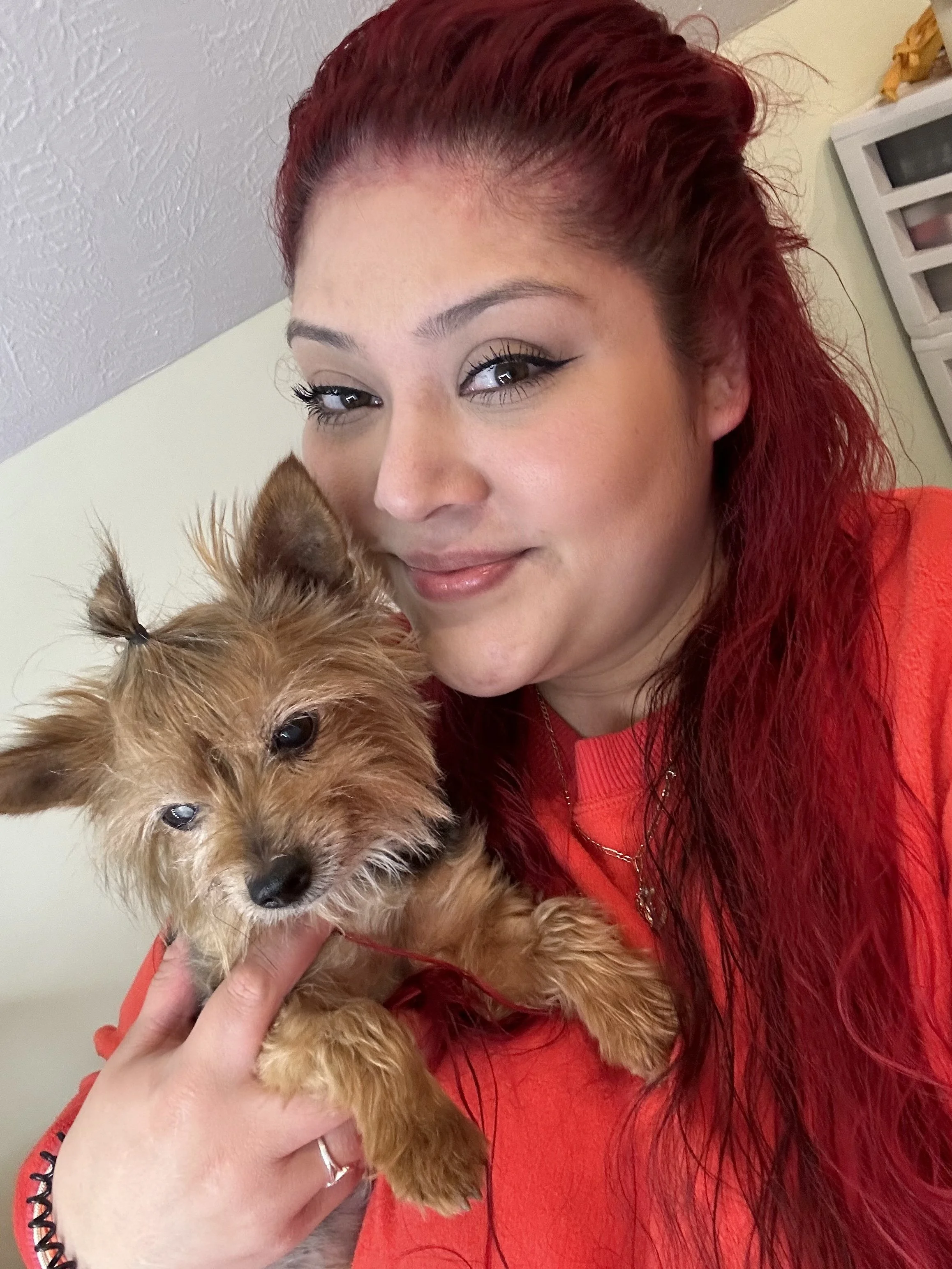 Vet Tech V. G.  2023