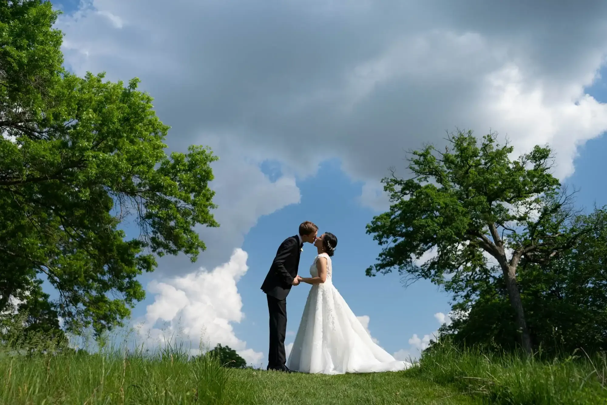 A bride and groom in wedding attire hold hands and kiss outdoors on a grassy hill with trees and a partly cloudy sky in the background.