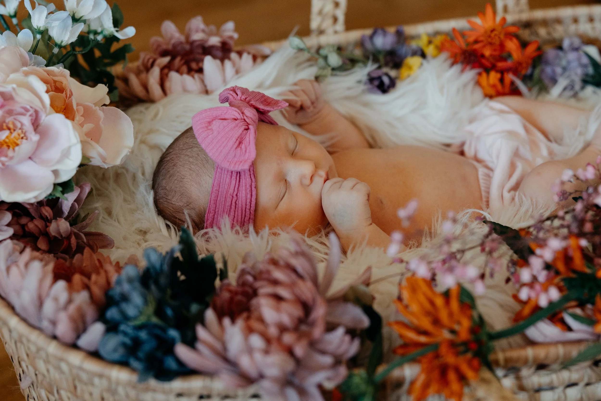 La Petite Photo Newborn Flowers Baby Family