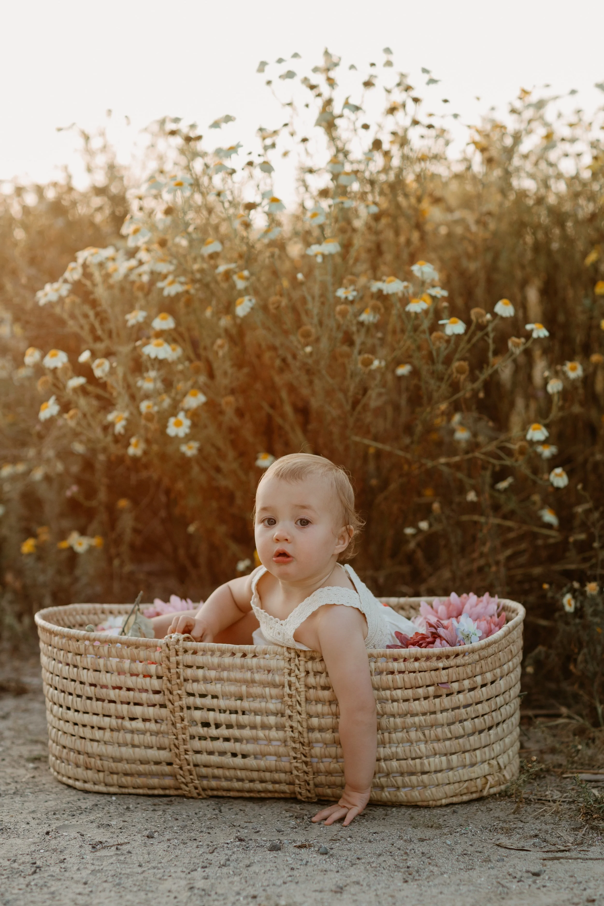 La Petite Photo Long Beach Kid Child Family Photography cute baby in a basket