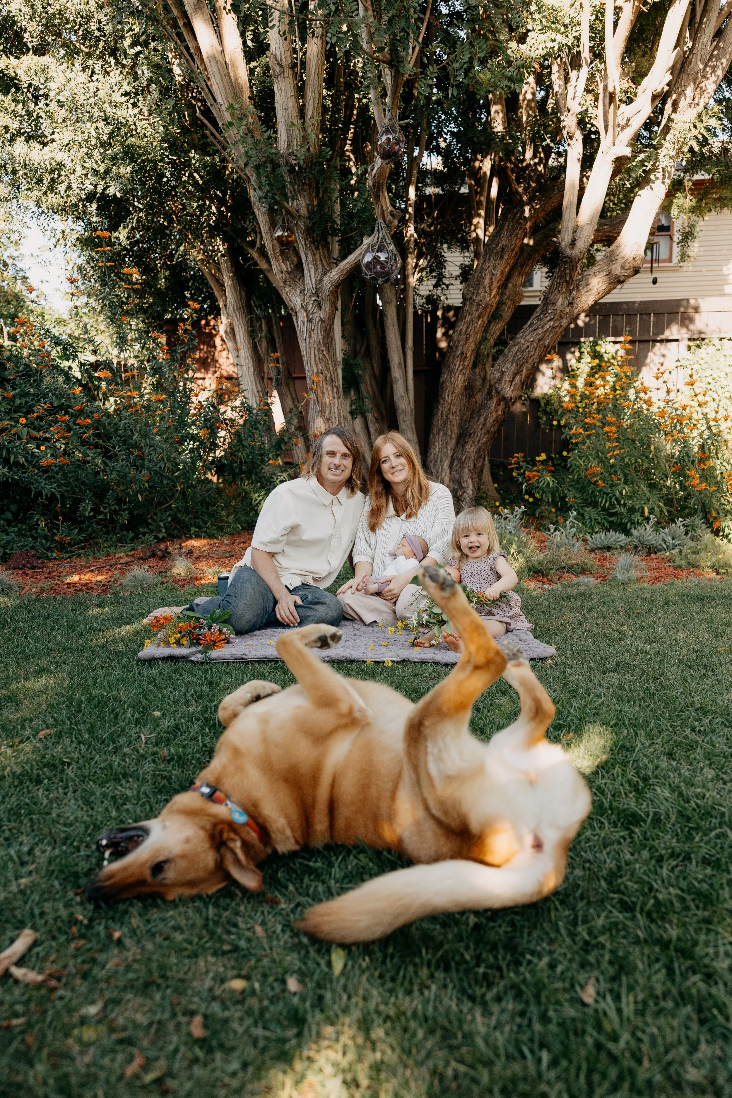 La Petite Photo Family At Home Newborn Dog Session Toddler Long Beach