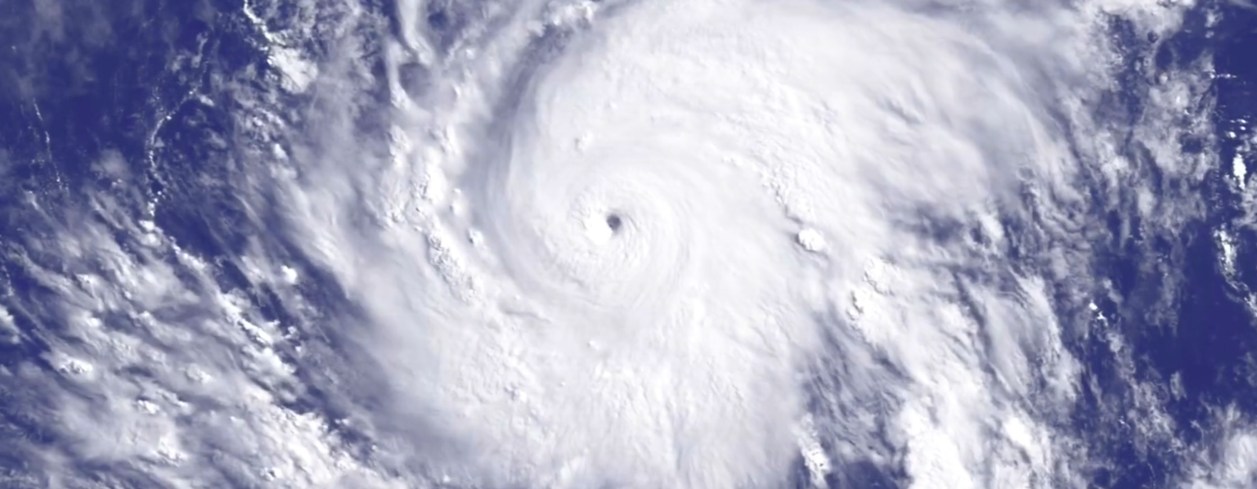 Hurricane Katrina coverage for The Wall Street Journal.