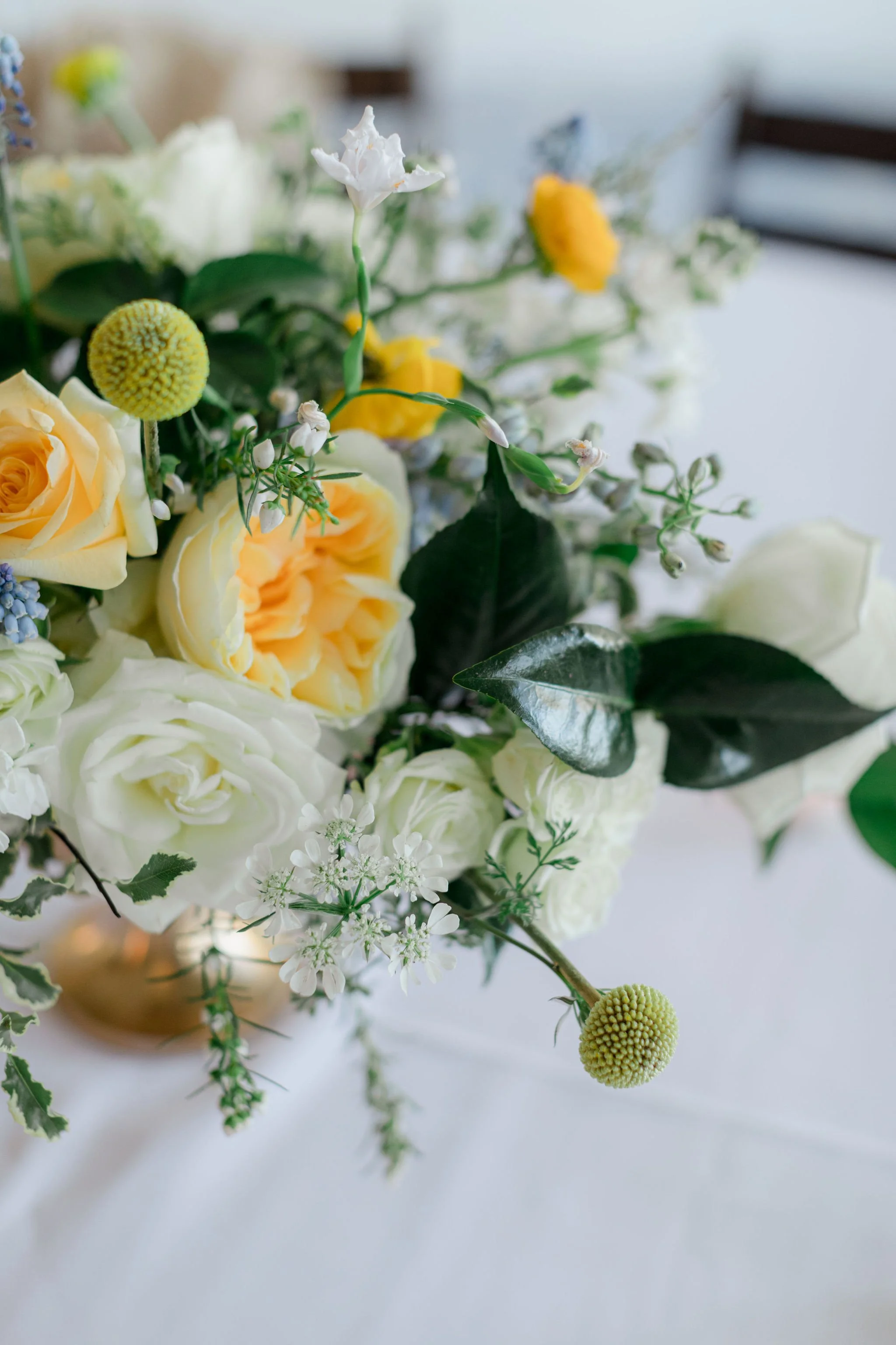 ButlerWedding-HaleyJanePhotography843.jpg