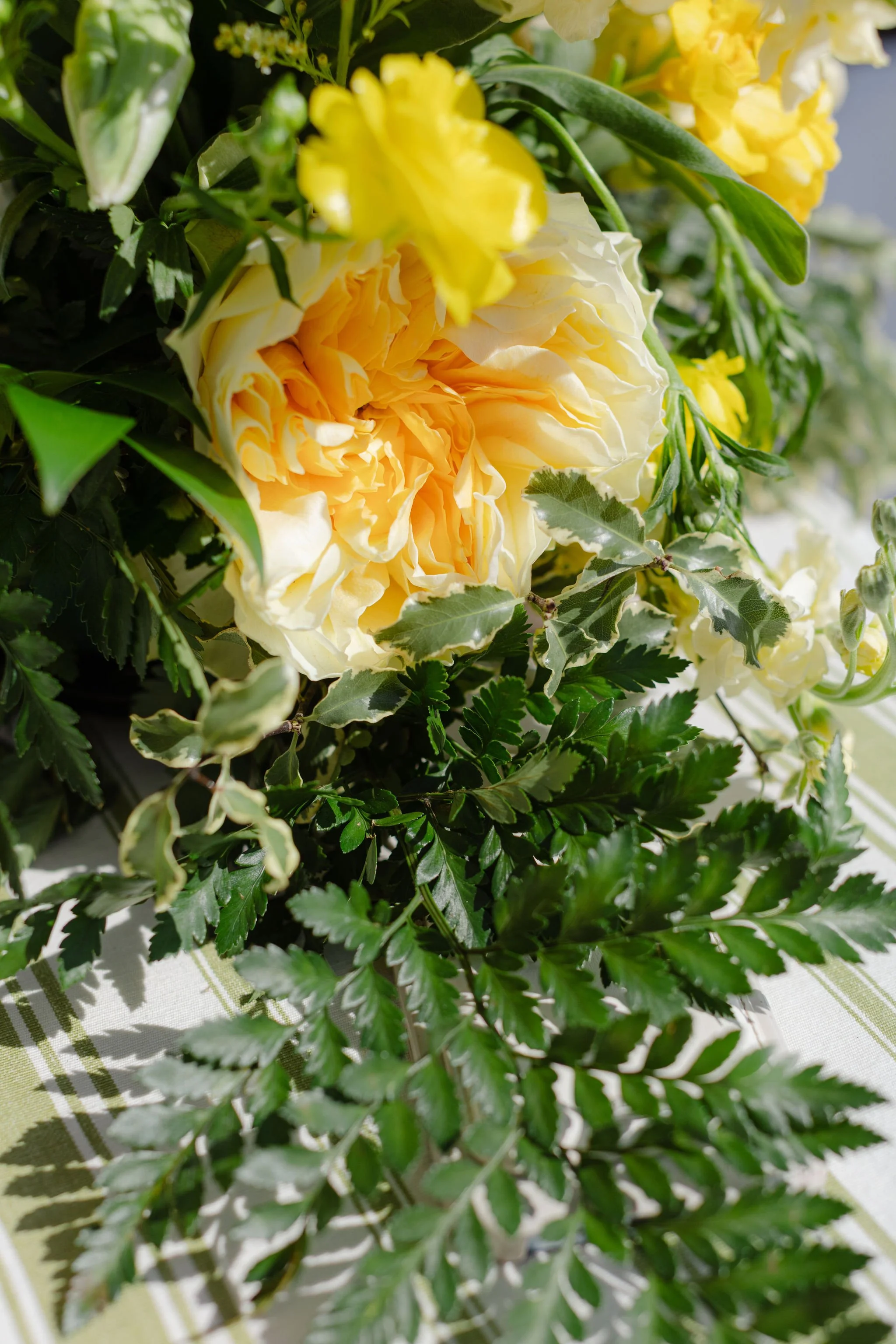 ButlerWedding-HaleyJanePhotography368.jpg