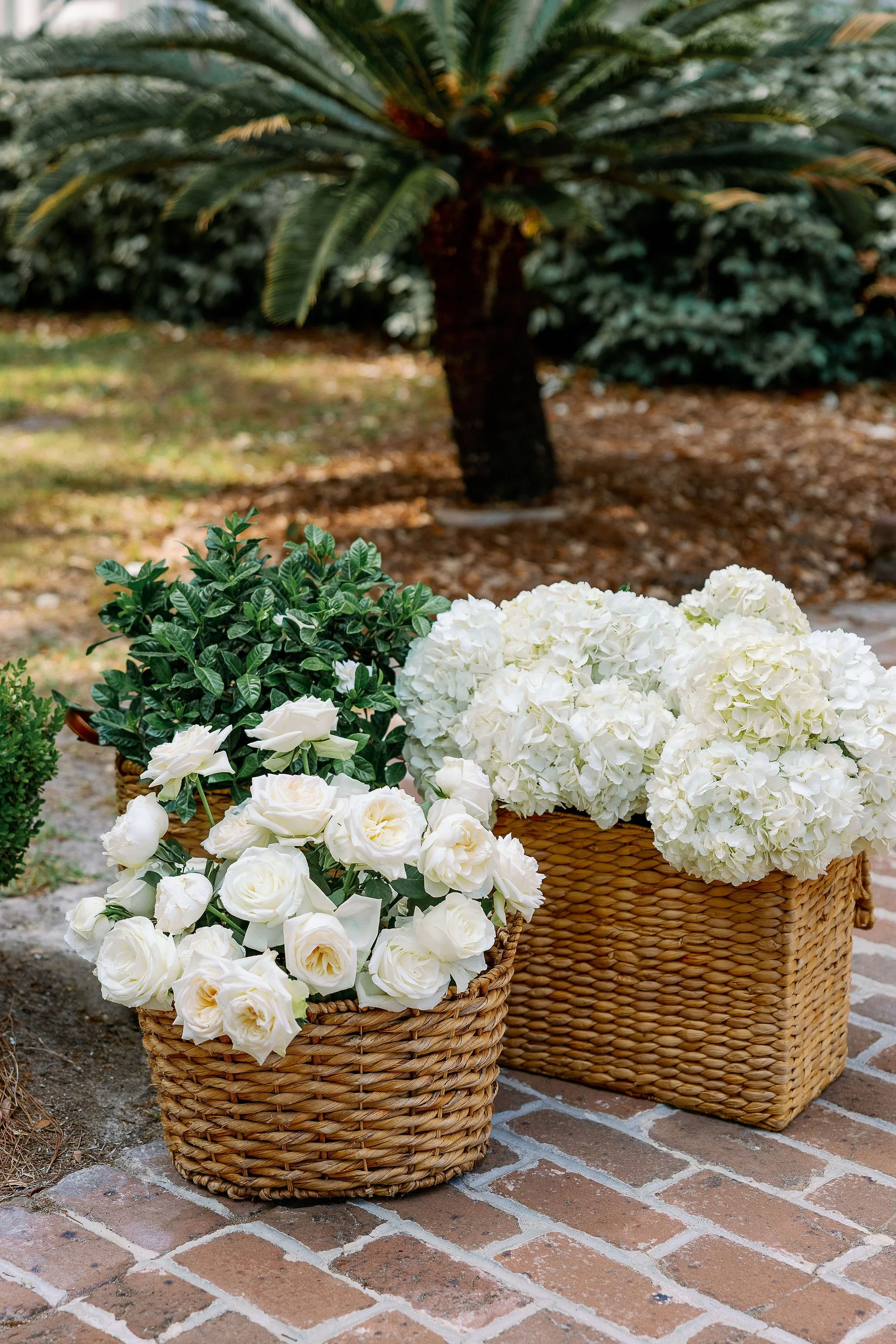 Sumer-Heath-Photography1-4_ppT.jpg