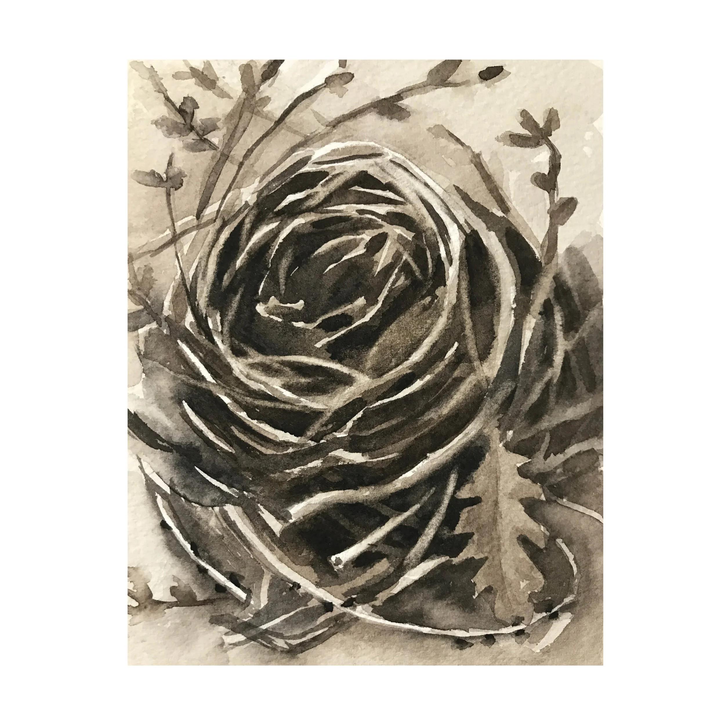 Nest #1: The Promise